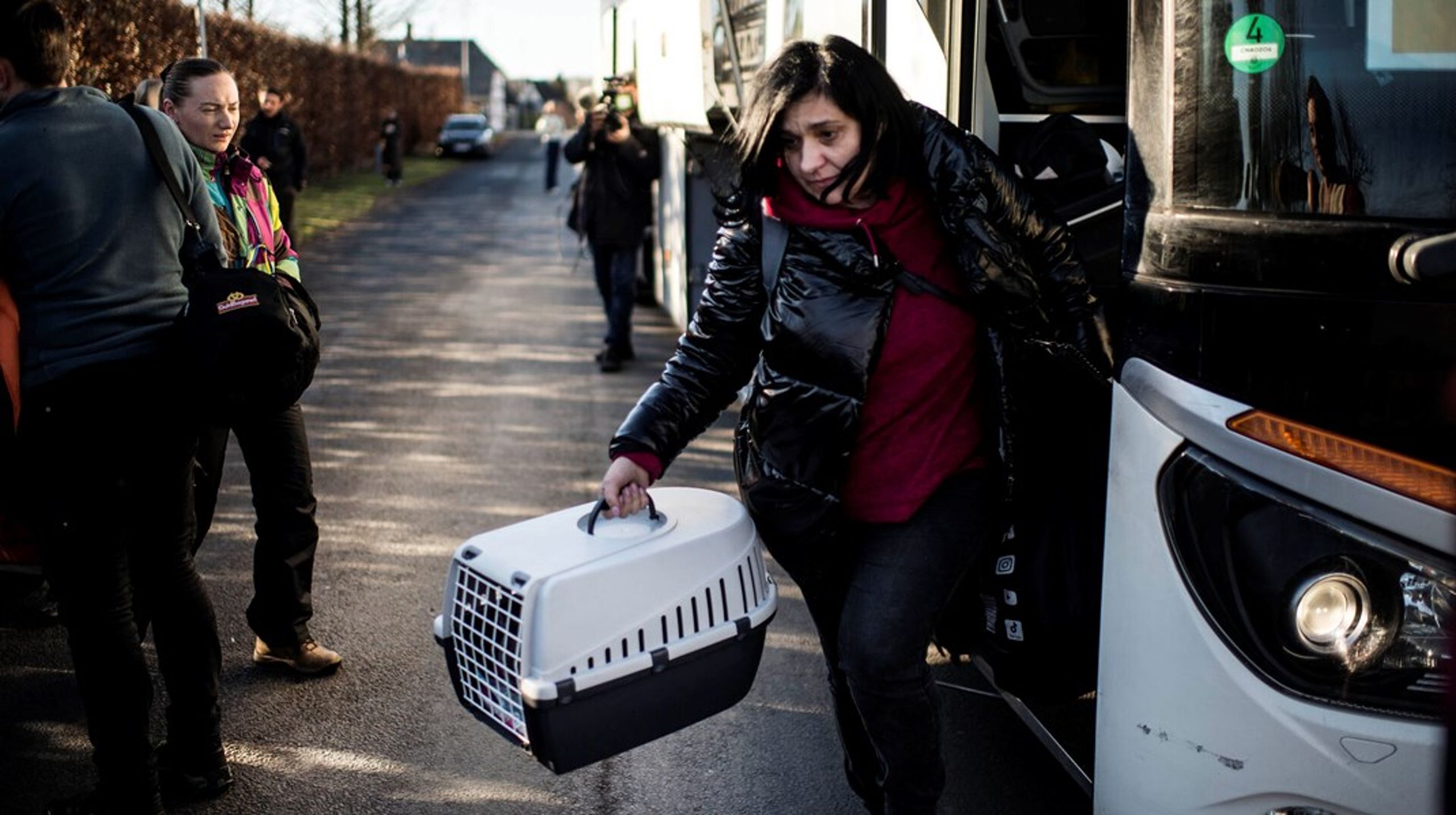 Et år efter Ruslands invasion af Ukraine er over 33.000 ukrainske flygtninge kommet til de danske kommuner. Især en række jyske landkommuner har taget imod mange.<br>