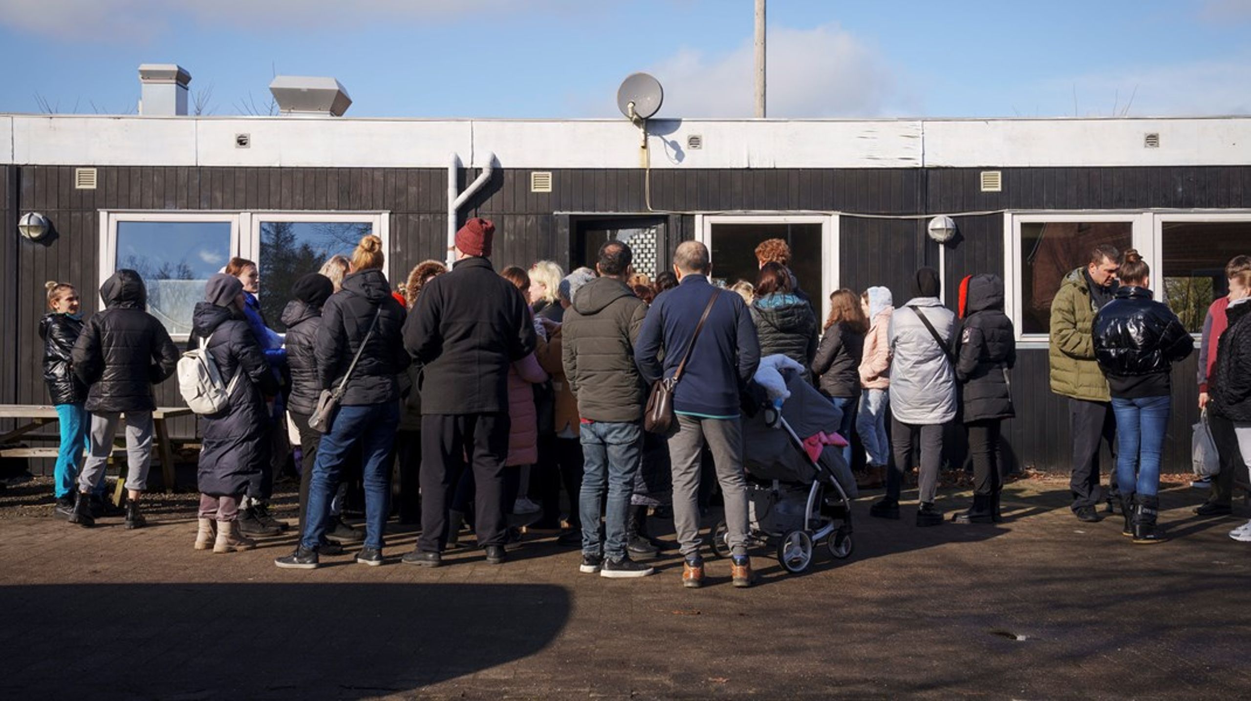 Lidt over 30.000 ukrainske flygtninge er det sidste år ankommet til Danmark.