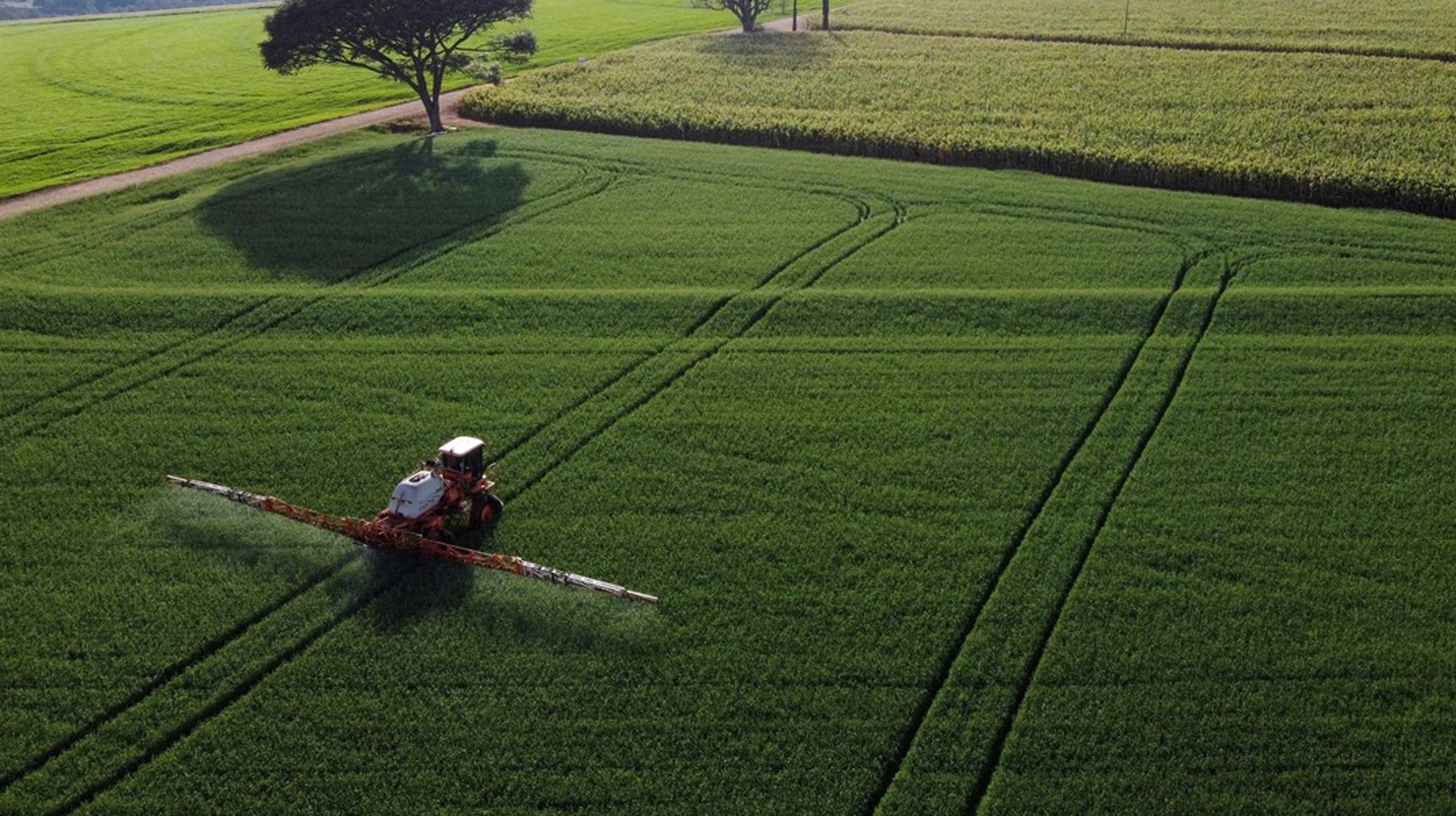 Støtten til Europa-Kommissionens forslag om reduktion af pesticider i landbruget svinder bort efter påbegyndelsen af Ukrainekrigen, skriver Emmanuel Molding Nielsen.
