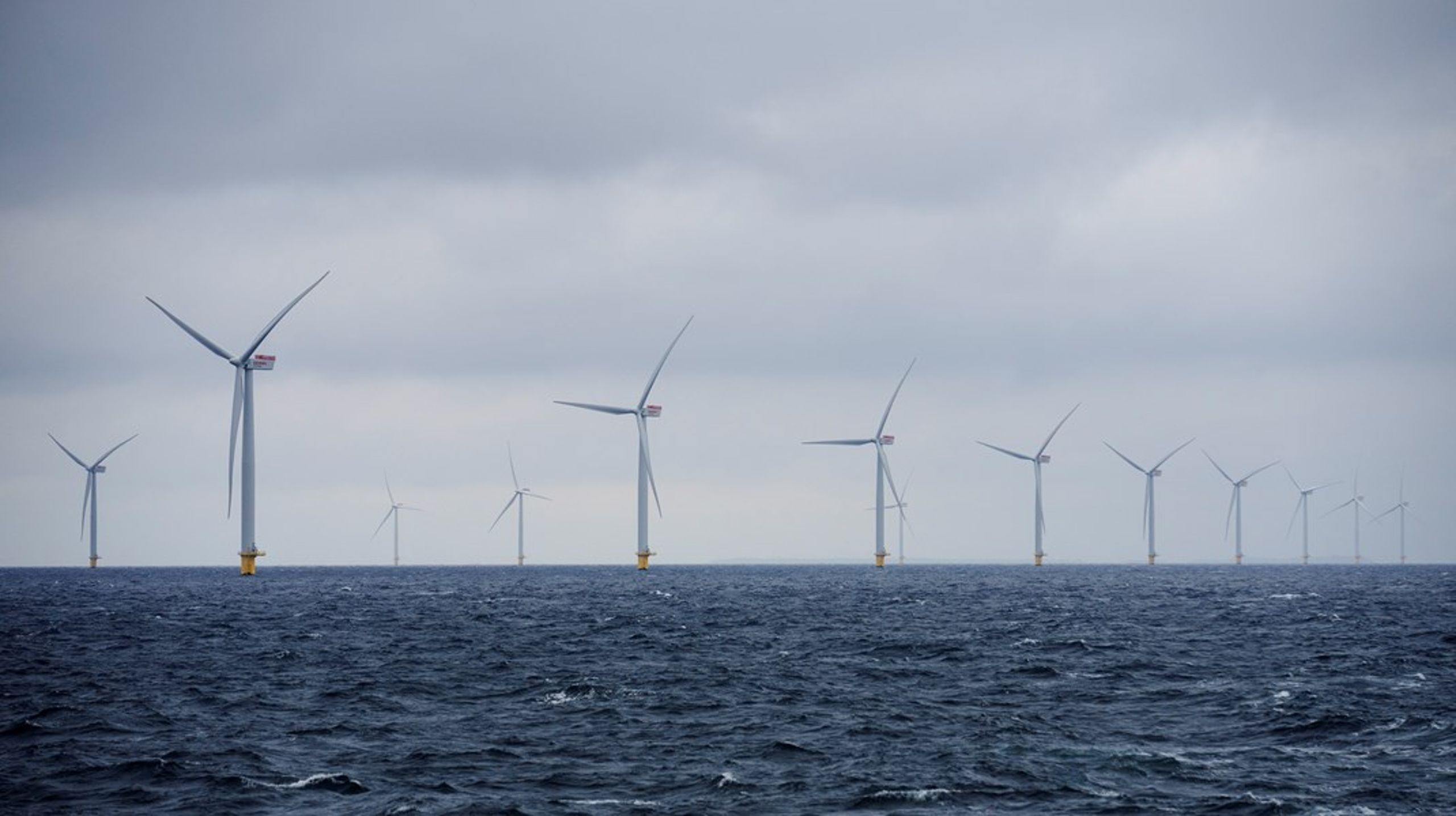Bæredygtighed, biodiversitet og skattetransparens bør selvfølgelig være faste krav for havvind i Danmark, skriver Kristian Jensen.