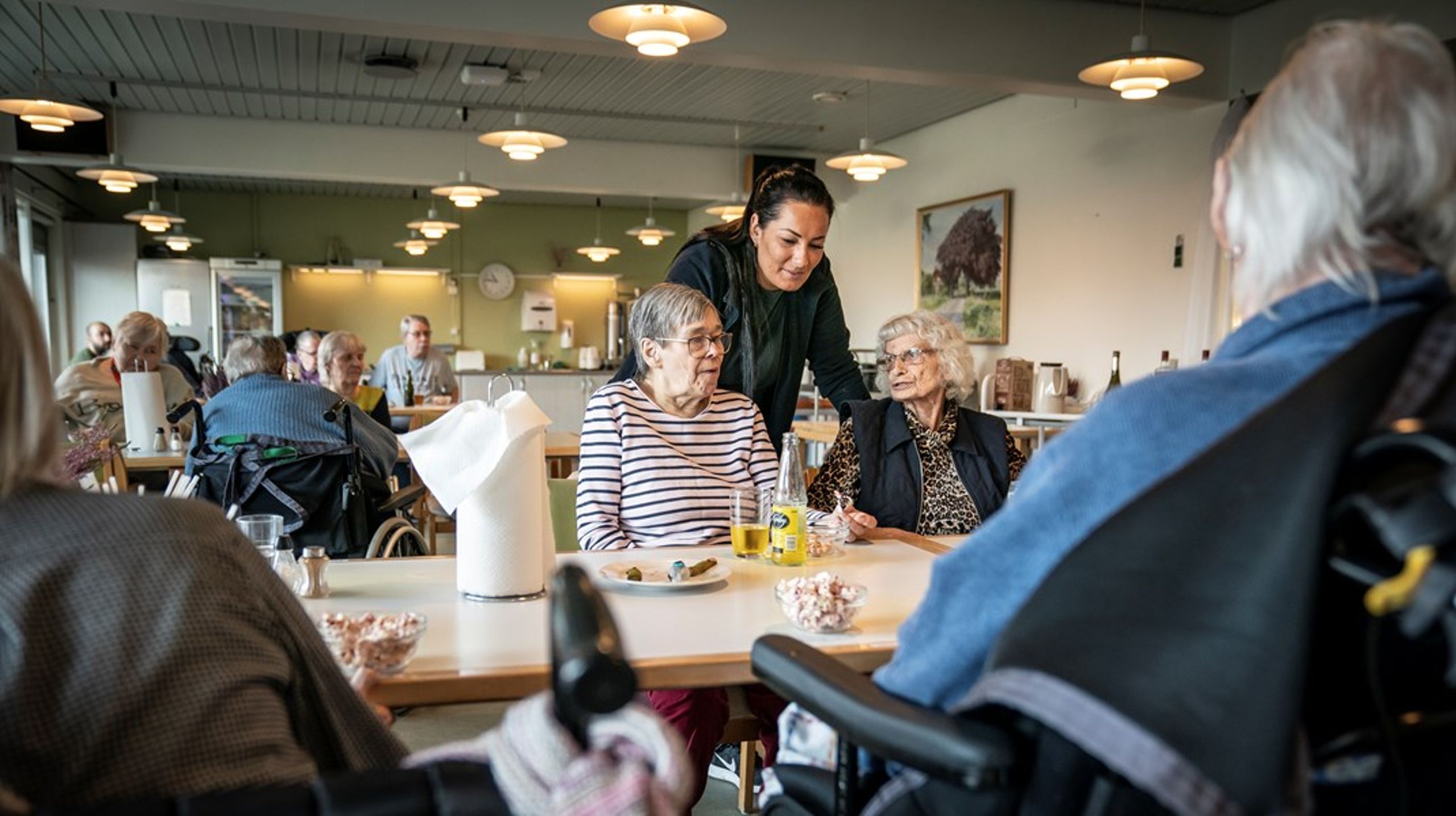 Plejehjemsråd skal være et rum, hvor beboere, pårørende og lokale ressourcepersoner er en central støtte for plejehjemslederen, skriver Inger Møller Hansen.