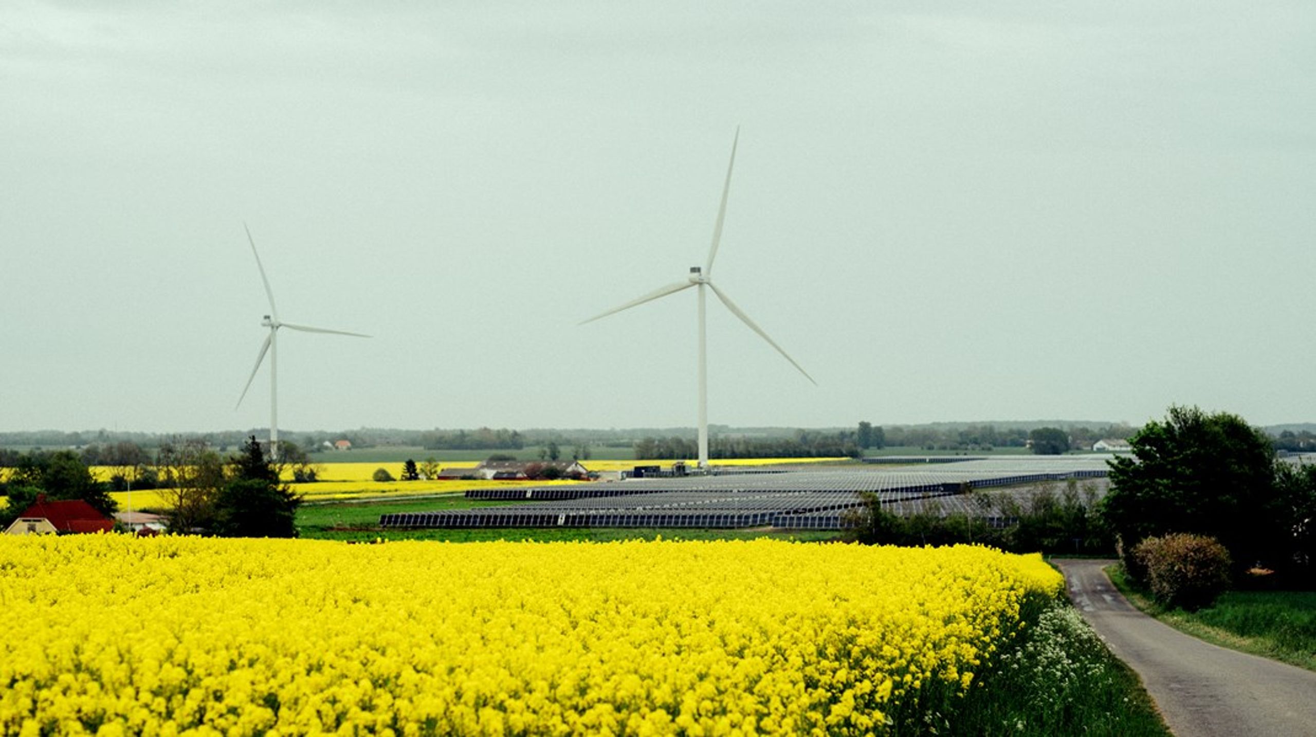 Danmarks største vindmølleopstillere, Eurowind Energy, har kun prøvet at have to projekter, hvor der ikke var klager fra lokalområdet, og et af de projekter var i Veddum Kær ved Mariager.