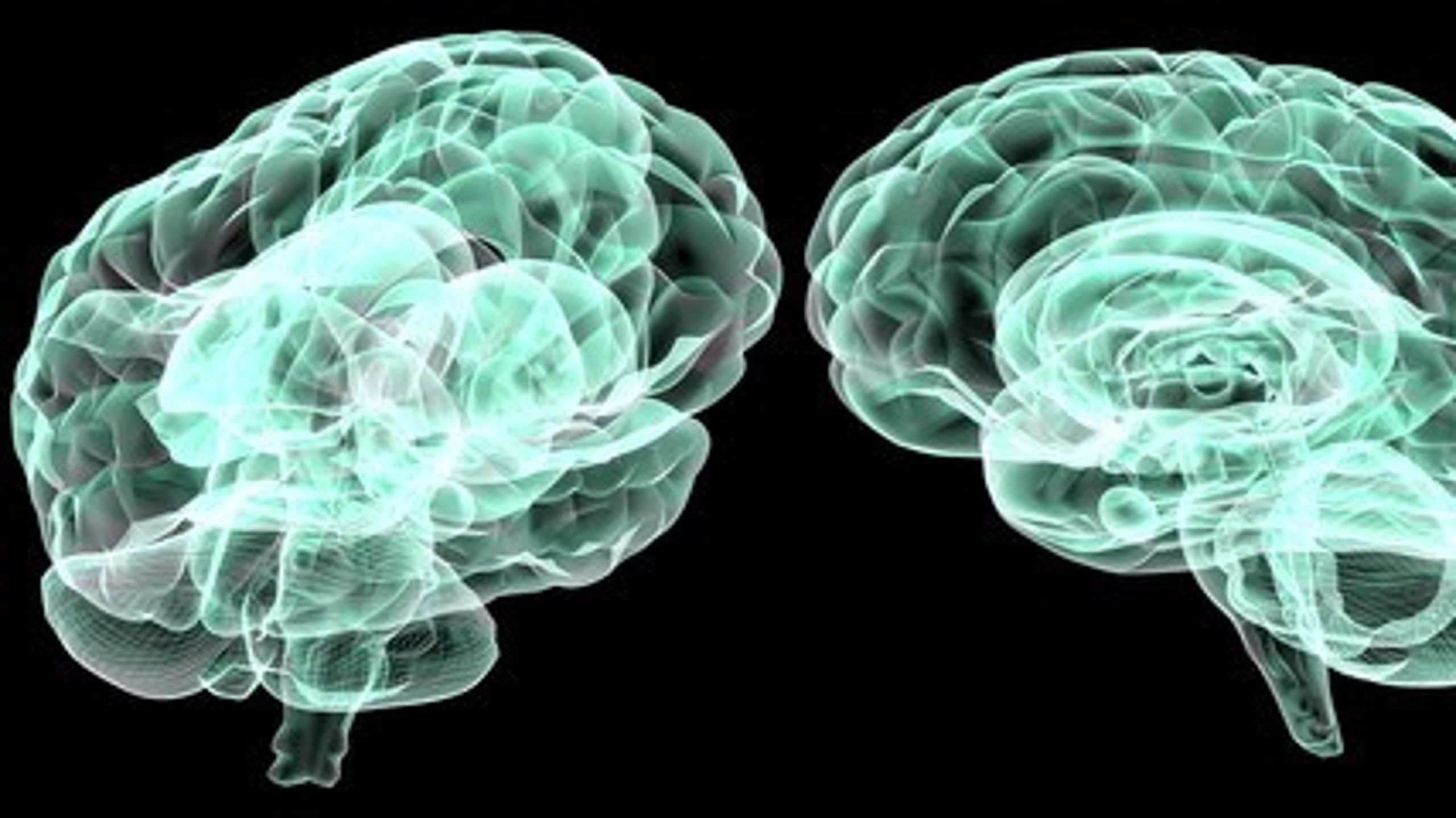 <i>Vinderne
af The Brain Prize 2023 har gjort banebrydende opdagelser ved at vise, hvordan
syntesen af nye proteiner udløses i forskellige neuronale rum og derved styrer
hjernens udvikling og plasticitet på måder, der påvirker vores adfærd hele
livet</i>