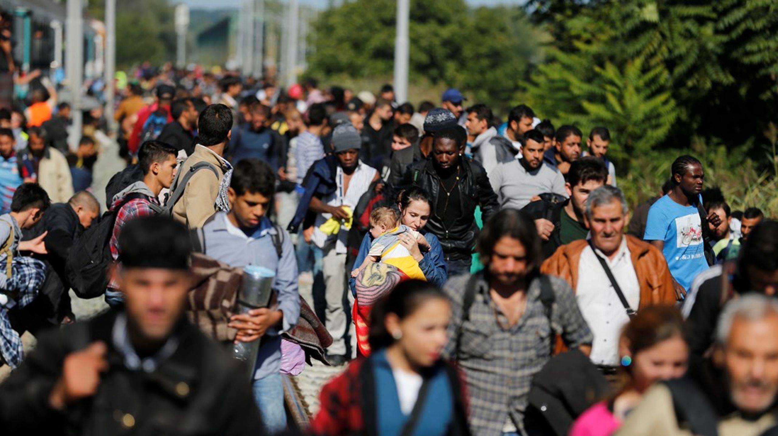 <div>Dansk Flygtningehjælp anslår, at antallet af fordrevne i 2024 vil være steget med 
mere end 50 millioner siden 2015, skriver Charlotte Slente.<br></div>