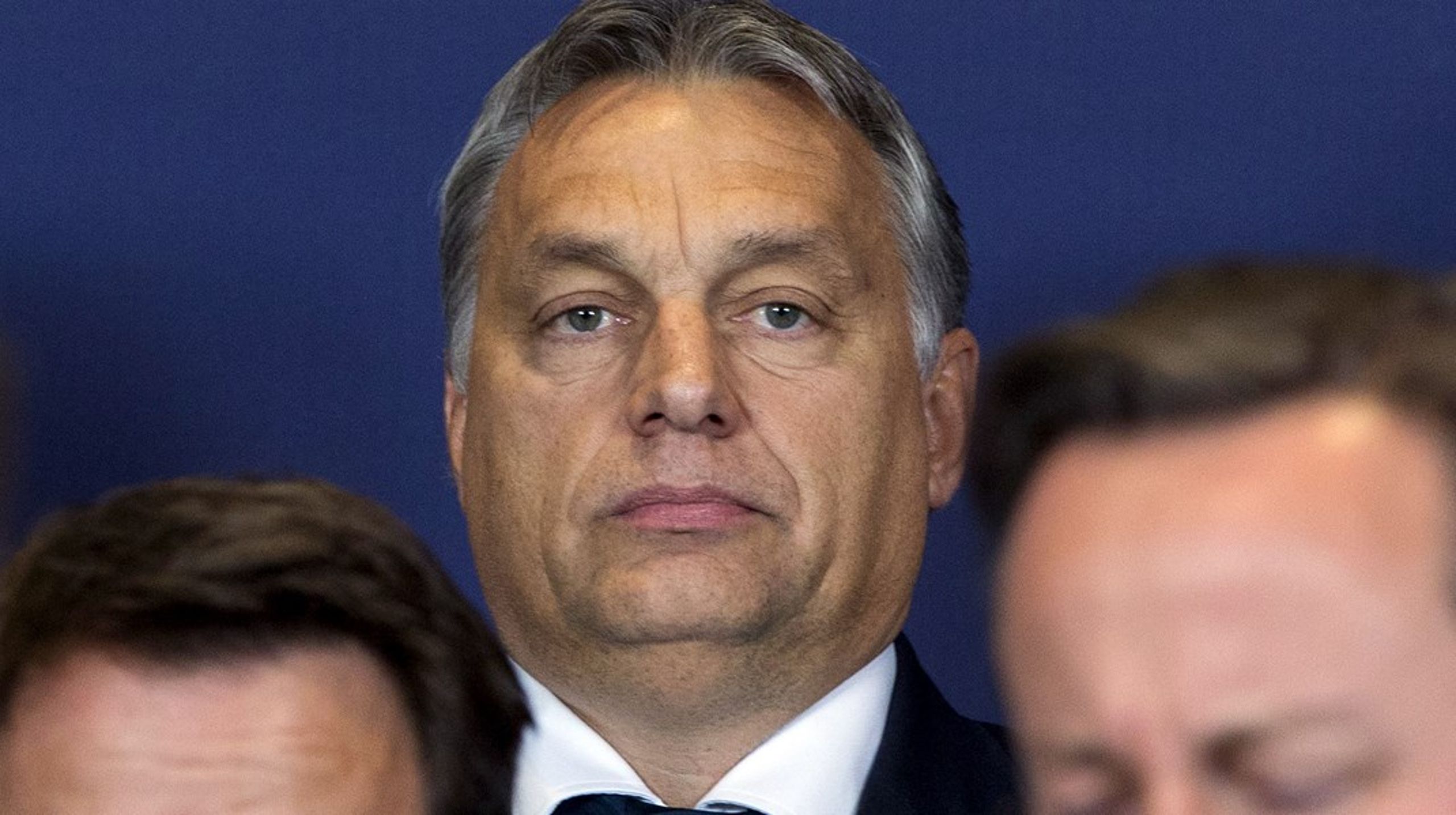 Victor Orban viser endnu en gang, at han er den løse kanon i EU og Nato ved at holde Sverige ude af Nato, skriver Vibe Termansen.&nbsp;