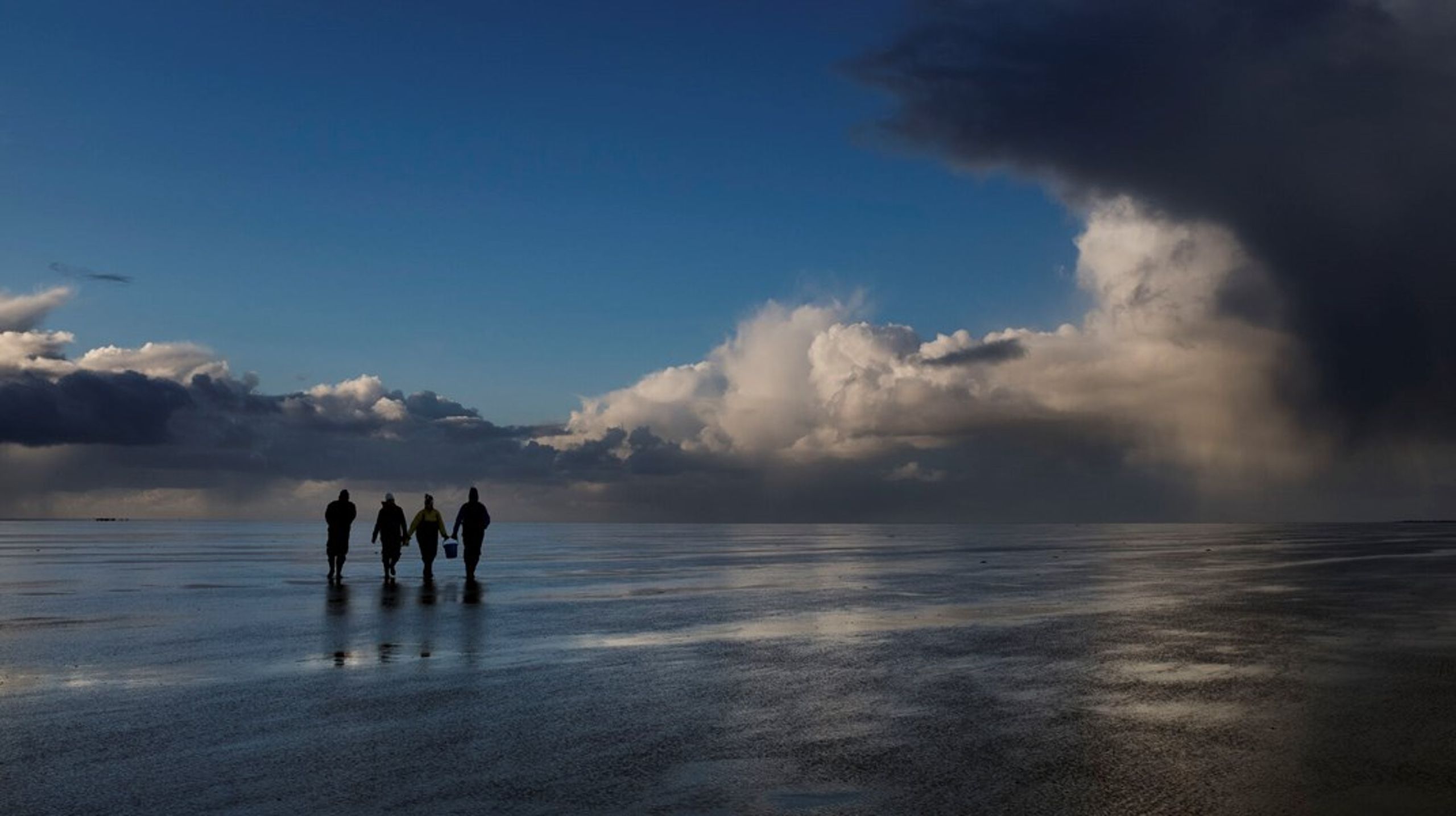 Nationalpark Vadehavet er Danmarks største nationalpark. I&nbsp;2014 besluttede UNESCO's verdensarv komité at udpege den danske del af Vadehavet som verdensarv.