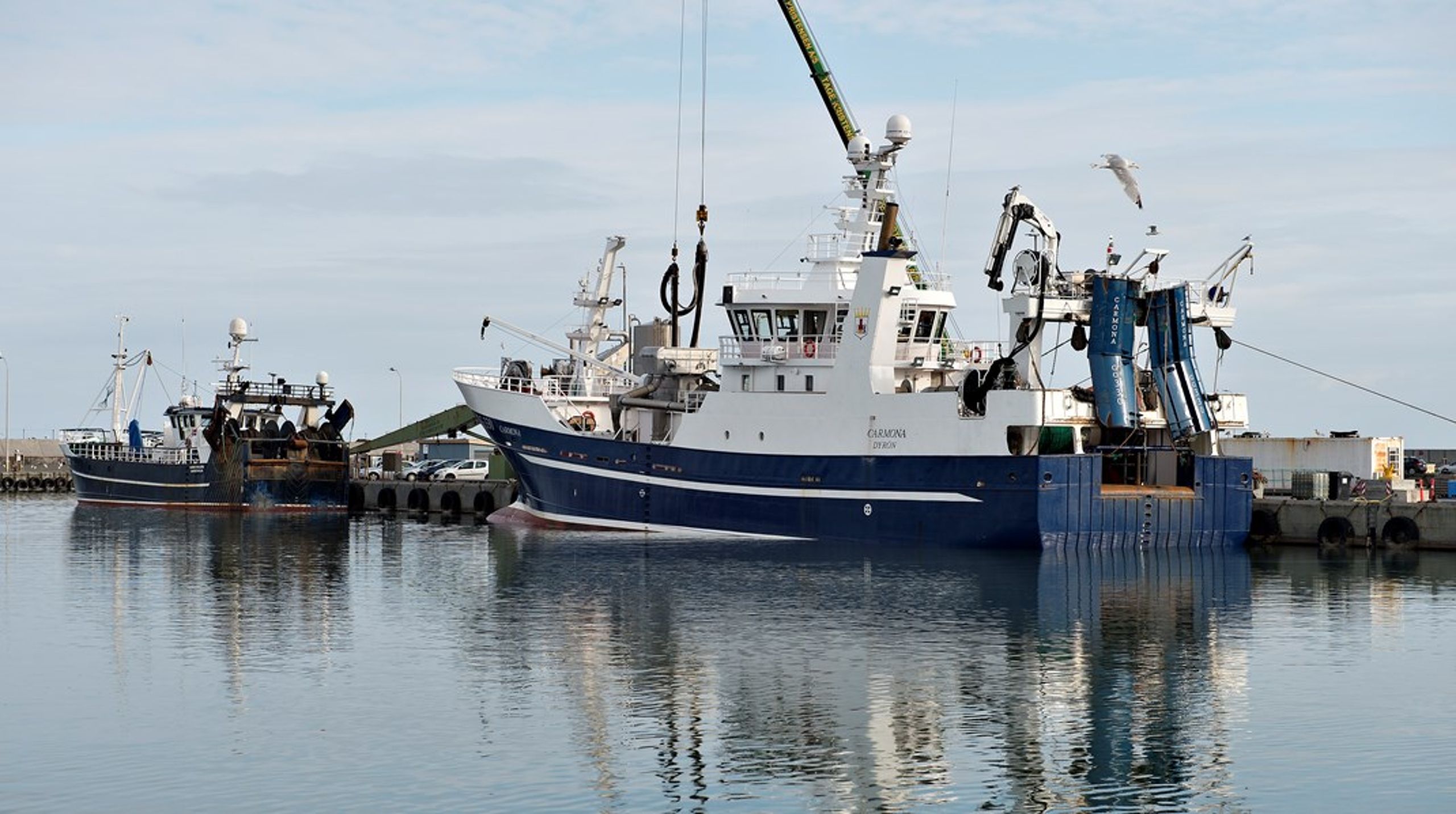 Alt i alt bør vi overveje at gå til fiskeriet på en måde i Danmark, så økosystemerne til havs ikke går i stykker, og så der er fisk til de fremtidige generationer, skriver Alexander Holm.