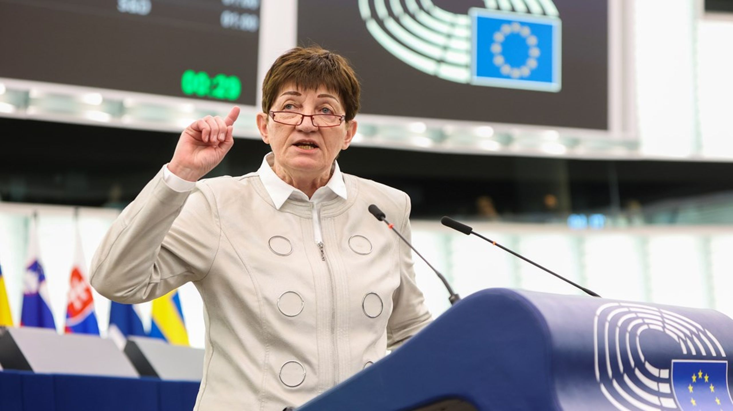 "At vi overhovedet har den her debat i plenarsalen – en debat, som i bund og grund beder os om at bryde EU-retten og folkeretten, som opfordrer os til ulovlige handlinger og er så neokolonialt gennemsyret. Det er en skamplet for dette parlament, mine damer og herrer," lød det fra tyske Cornelia Ernst, da Europa-Parlamentet onsdag diskuterede asyllejre i tredjelande uden for EU.