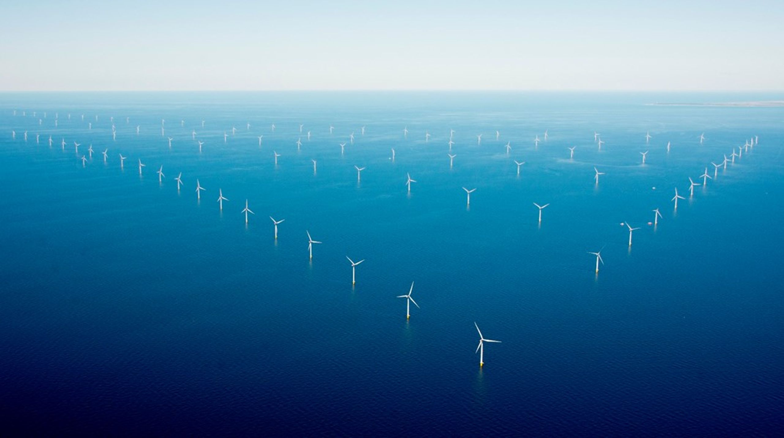 En kommende kæmpeudbygning af vindmøller på havet skal tage bedre hensyn til naturen, end regeringen lægger op til. Det mener en række partier.