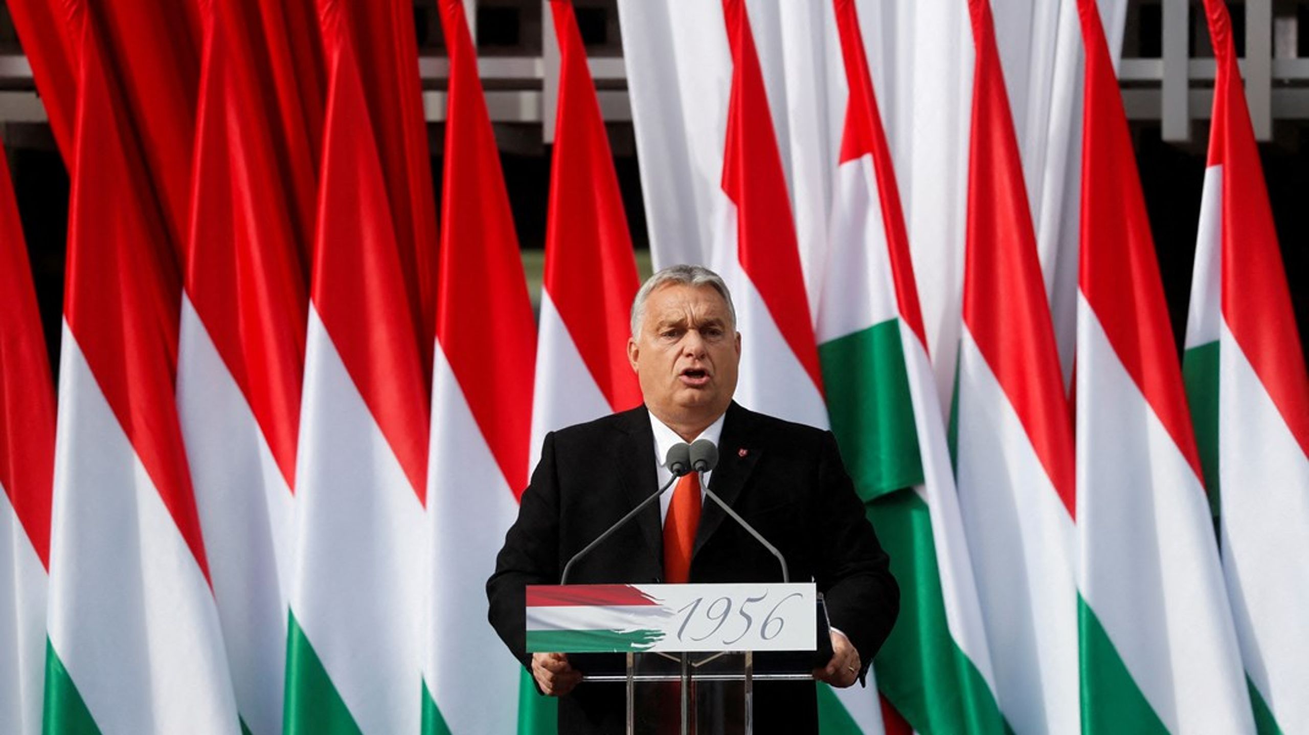 Mange i Europa-Parlamentet har ikke den store fidus til, at Viktor Orbáns ungarske regering skal styre slagets gang i EU's Ministerråd, når landet er i karambolage med Unionens demokratiske spilleregler.
