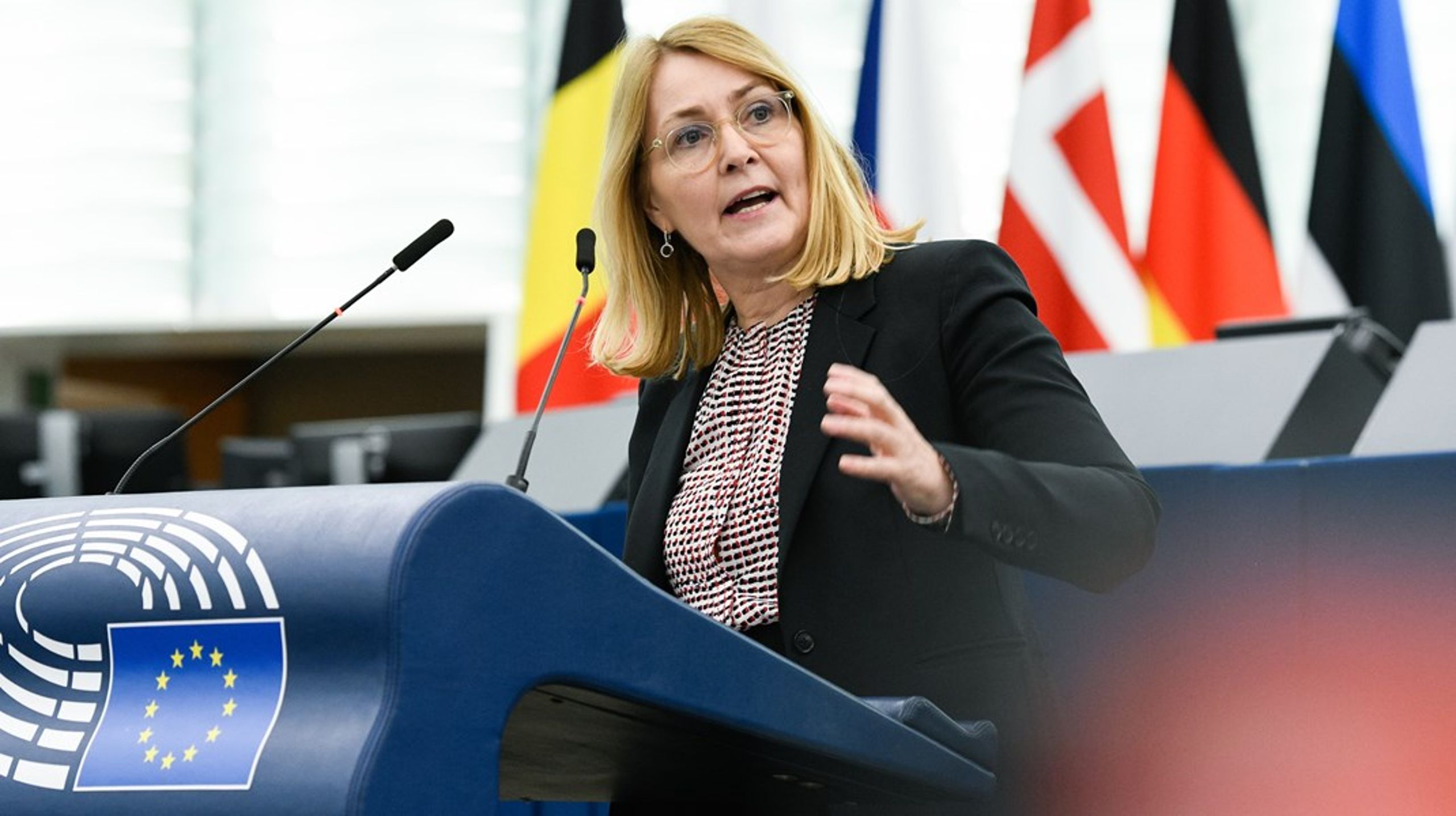 Christel Schaldemose sidder i Europa-Parlamentets udvalg om kunstig intelligens. Hun er valgt for Socialdemokratiet, der sidder i den socialdemokratiske gruppe (S&amp;D) i EU-Parlamentet.