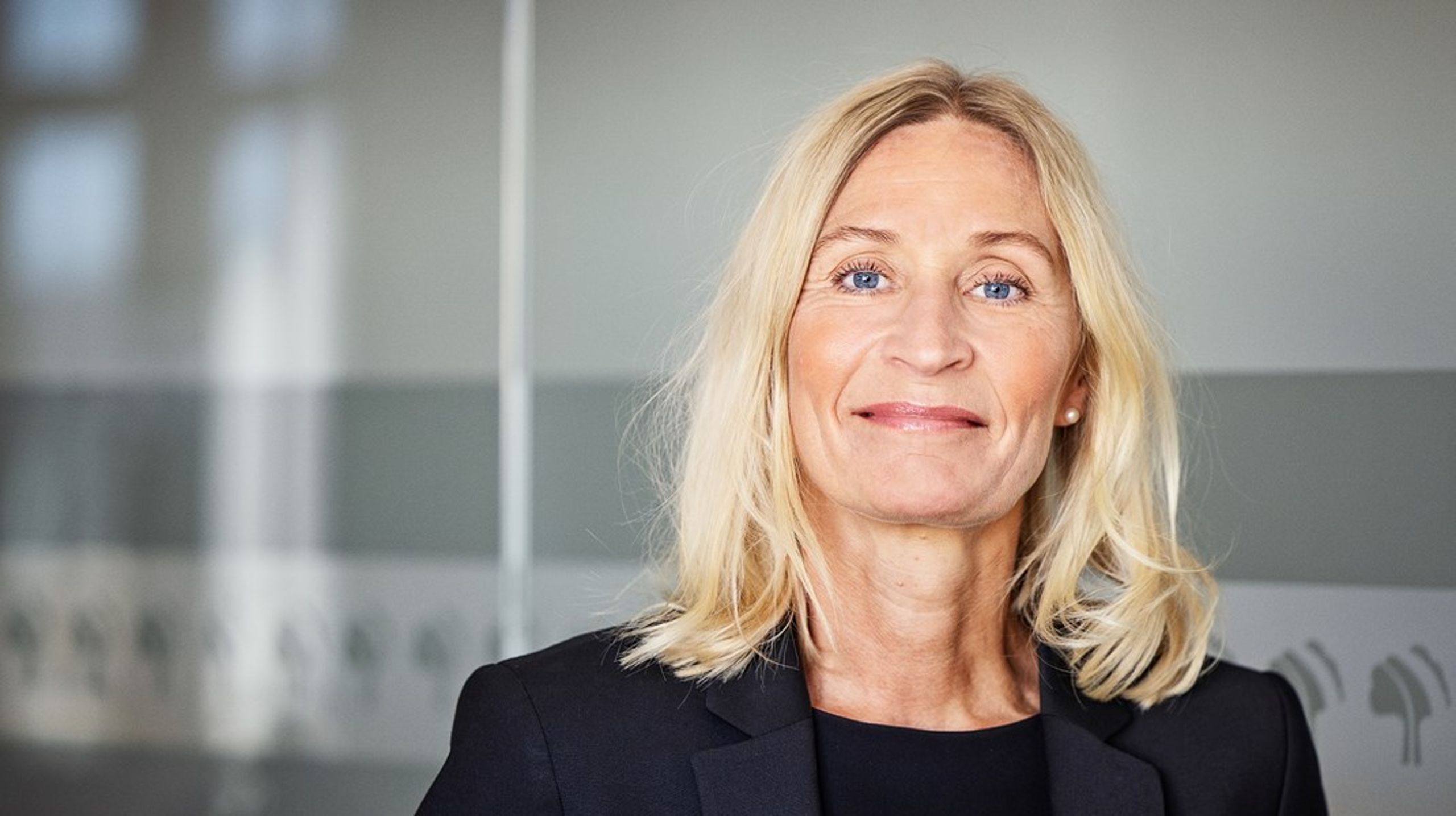 Karin Sass har arbejdet med HR i mere end 25 år, de seneste 15 indenfor den finansielle sektor.&nbsp;