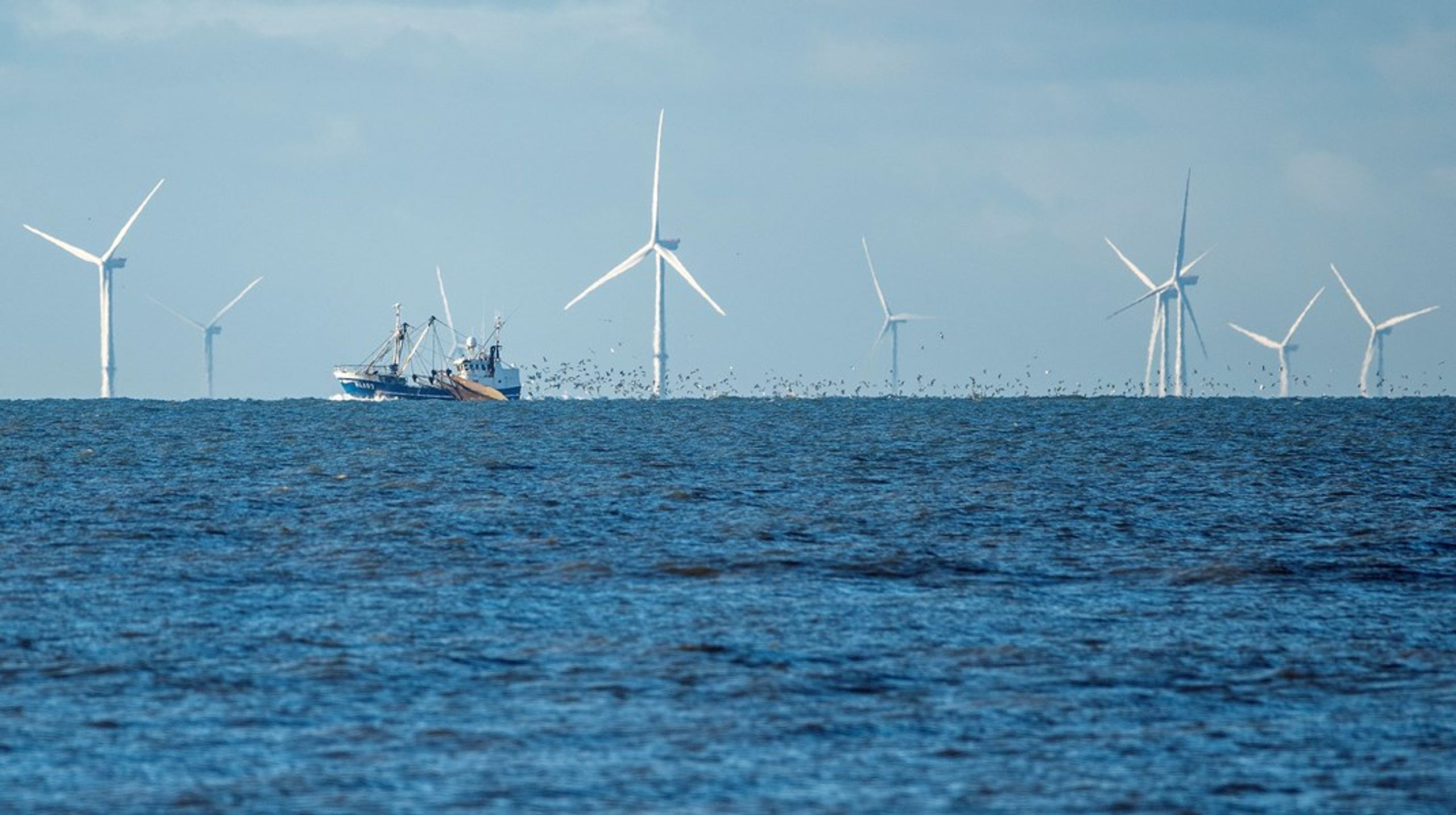 Kan arealer, der ikke er beskyttet mod fysiske forstyrrelser på havbunden, tælle med, når Danmark skal leve op til EU's målsætning om 30 procent beskyttet natur? Det er Miljøministeriet og det uafhængige ekspertorgan Biodiversitetsrådet uenige om.