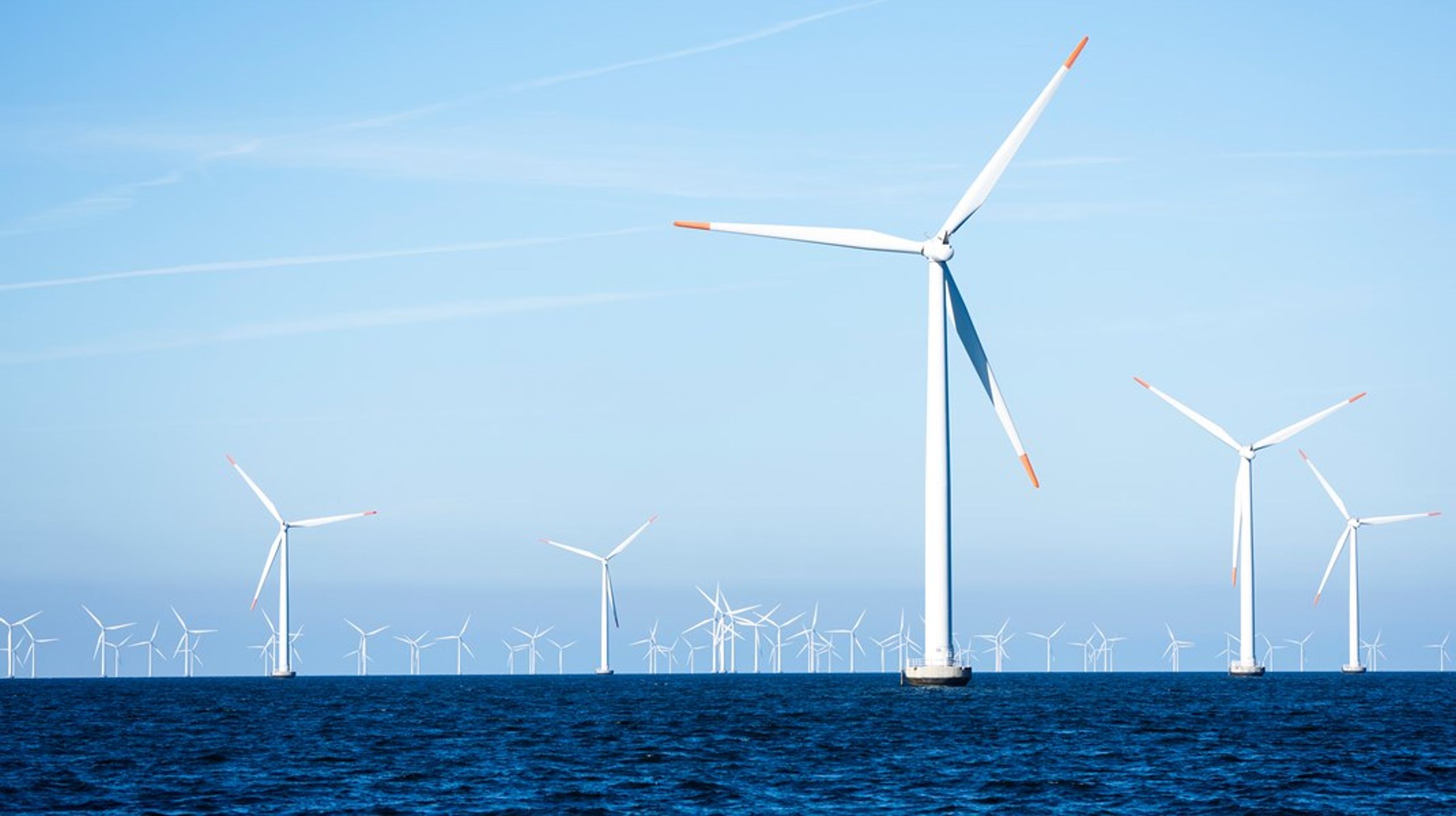 Under forhandlingerne om EU's nye naturgenopretningslov har blandt andet spørgsmål om bæredygtige&nbsp;vindmølleparker været et diskuteret emne.