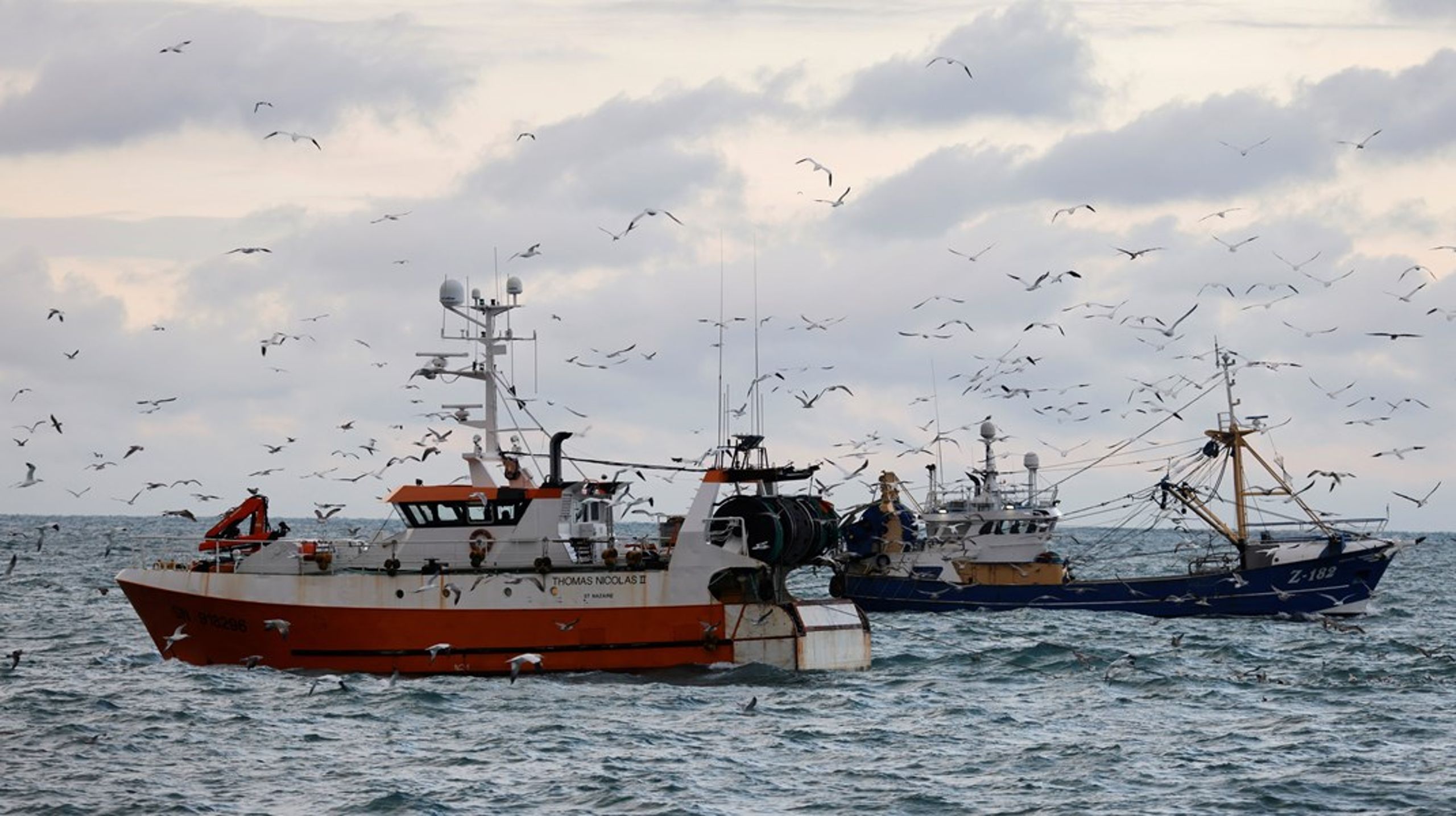 Danmarks
Naturfredningsforenings kampagne er fyldt af postulater om&nbsp;bundtrawlings skade på havmiljøet, skriver&nbsp;Kristian
Bøgsted (DD).
