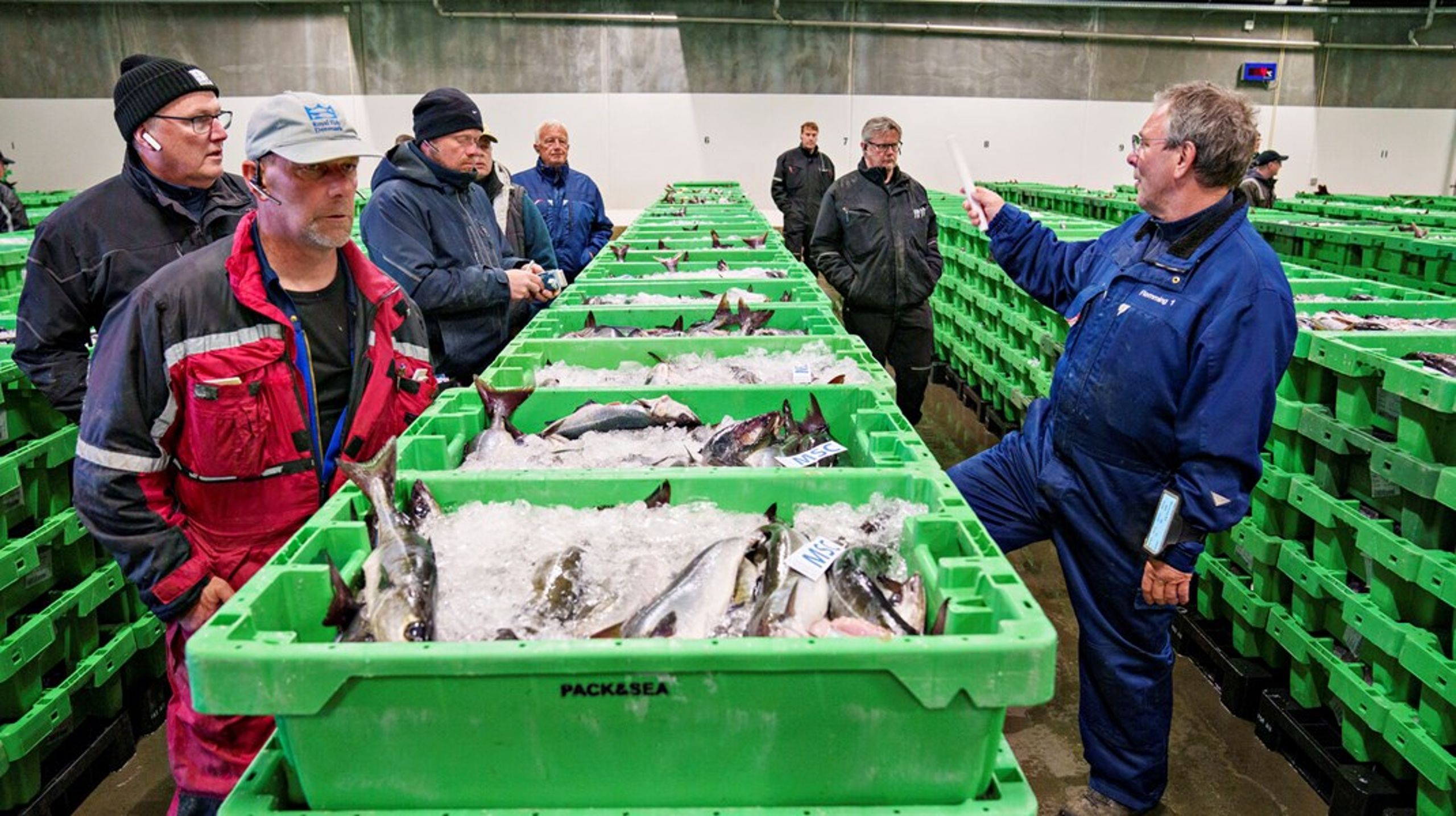 De danske fiskere blev hårdt ramt af Brexit. Nu må de vente lidt endnu på politikernes plan for erhvervets fremtid.&nbsp;