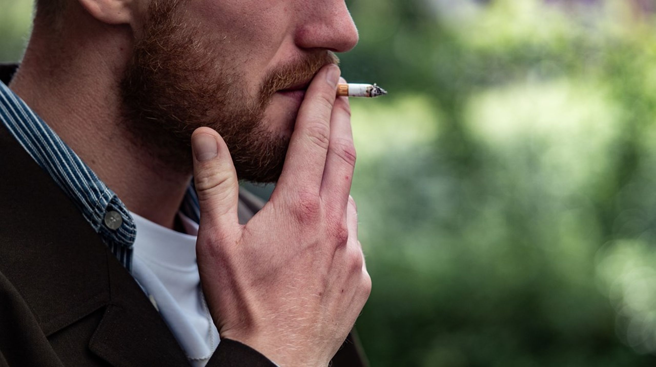 Hver femte dansker ryger dagligt eller lejlighedsvist, og rygning har store konsekvenser for den enkelte, for familierne og for samfundet. De svenske tal for rygning og kræfttilfælde er så misundelsesværdige, at man bør tage ved lære af dem, skriver Inger Schroll-Fleischer.