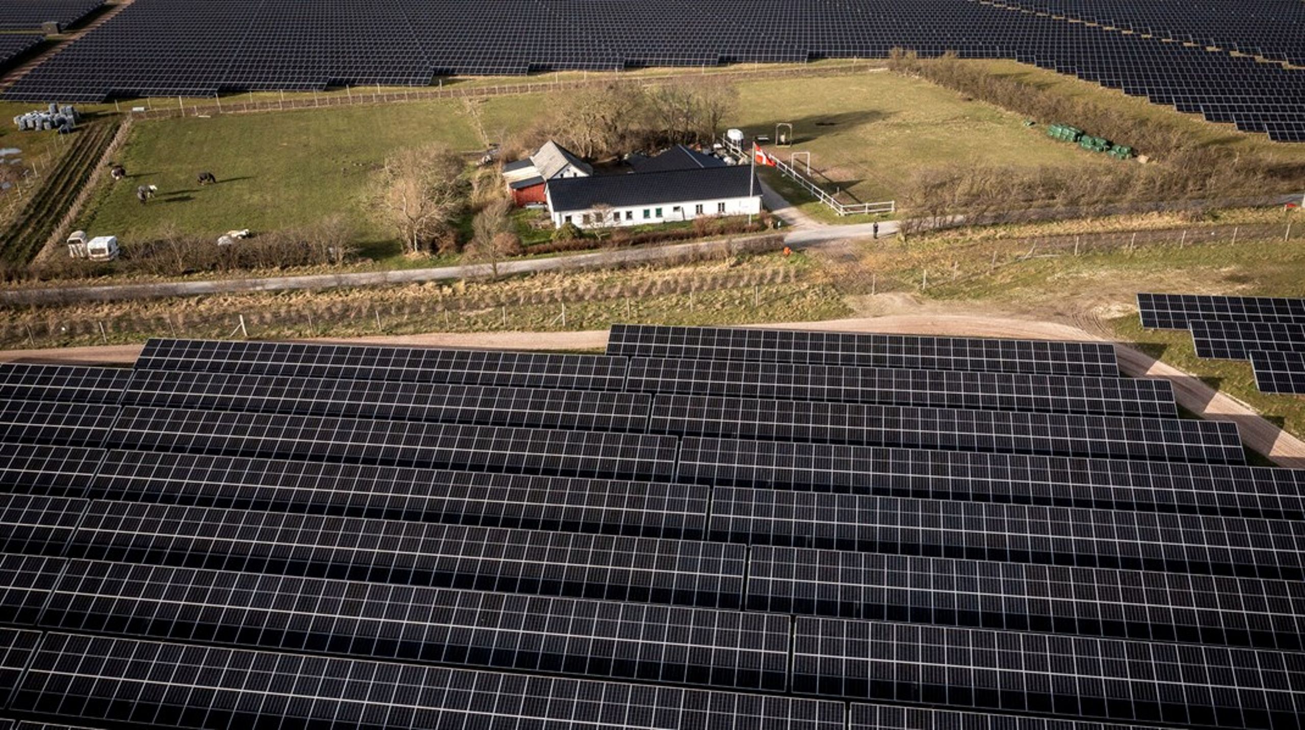Danmarksdemokraterne vil sikre naboer og lokalområder en større andel af de økonomiske gevinster, når der opsættes vedvarende energianlæg på land.<br>