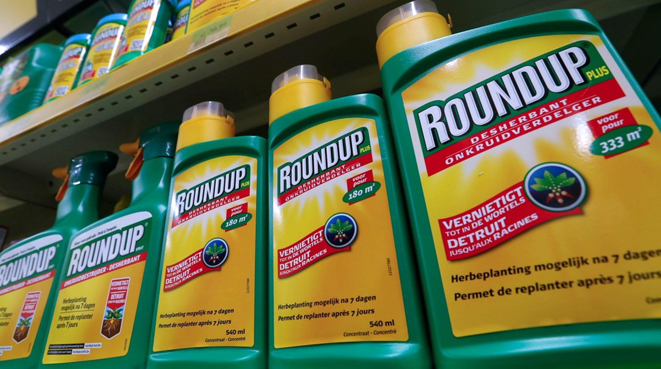Verdens mest udbredte ukrudtstæmmer glyphosat er det aktive stof i Roundup.