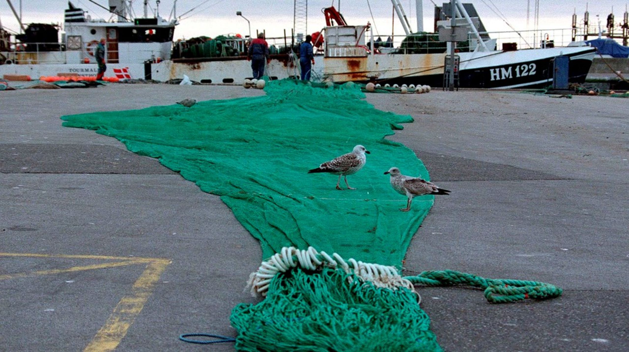 Fiskeri med bundtrawl er belastende for havmiljøet, og det er derfor en god idé at forbyde det i Bælthavet, mener regeringen.
