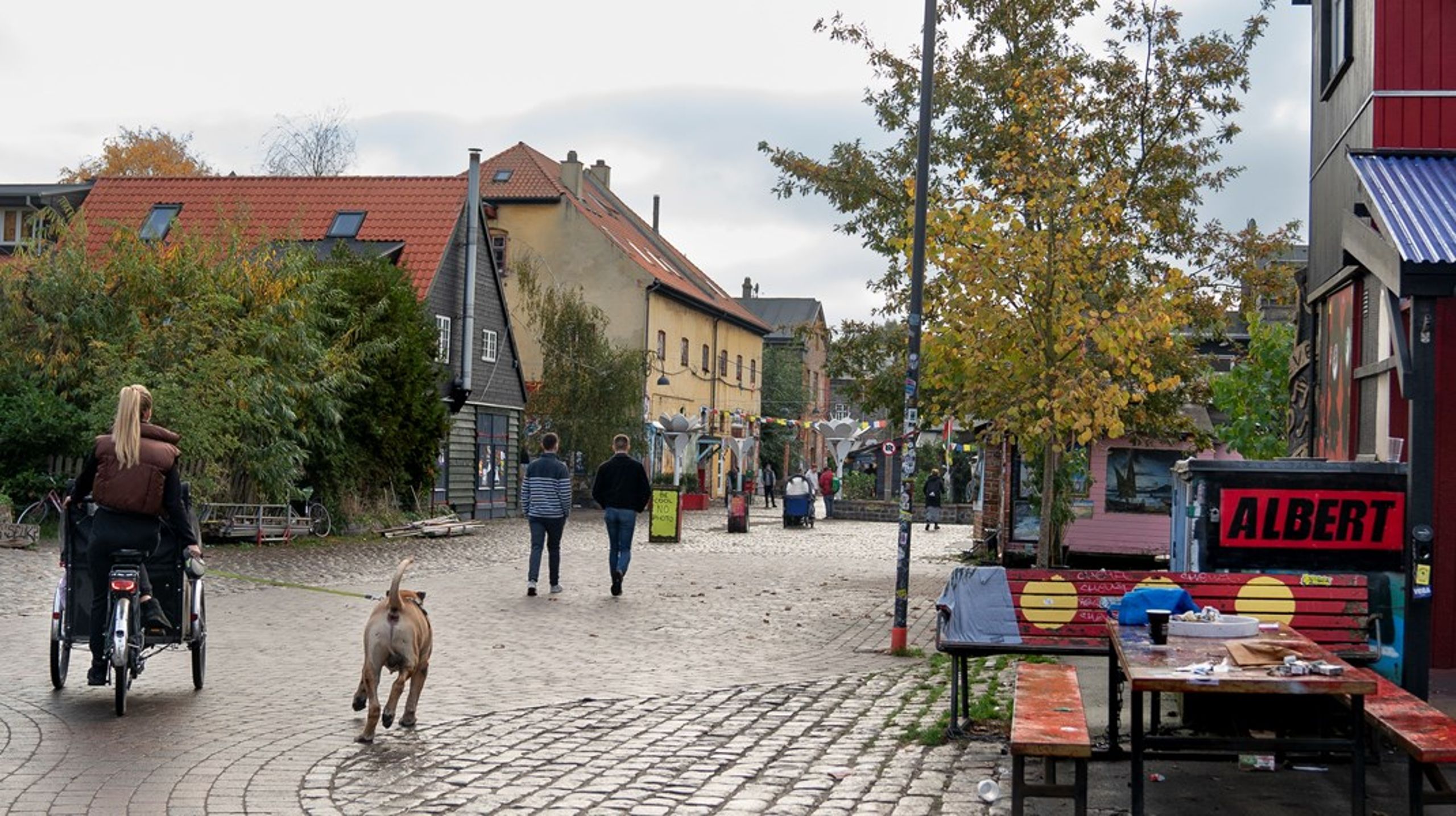 Næste skridt er en normalisering af Christiania, som vi ser frem til med stor begejstring. Vi er ikke i tvivl om, at opførslen af 15.000 kvadratmeter boliger vil medvirke til at tage brodden af hele miseren, skriver Niels Peder Ravn.