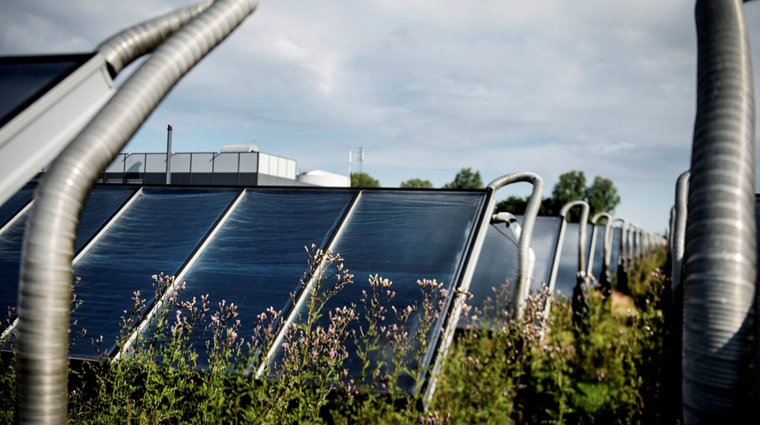 I de kommende år vil EU’s bygningsdirektivet ændre på landskabet i Danmark med solceller på tagene og el-ladestandere ved bygninger og parkeringspladser, som de synlige tegn på den grønne forandring, skriver&nbsp;Morten Helveg Petersen (R).