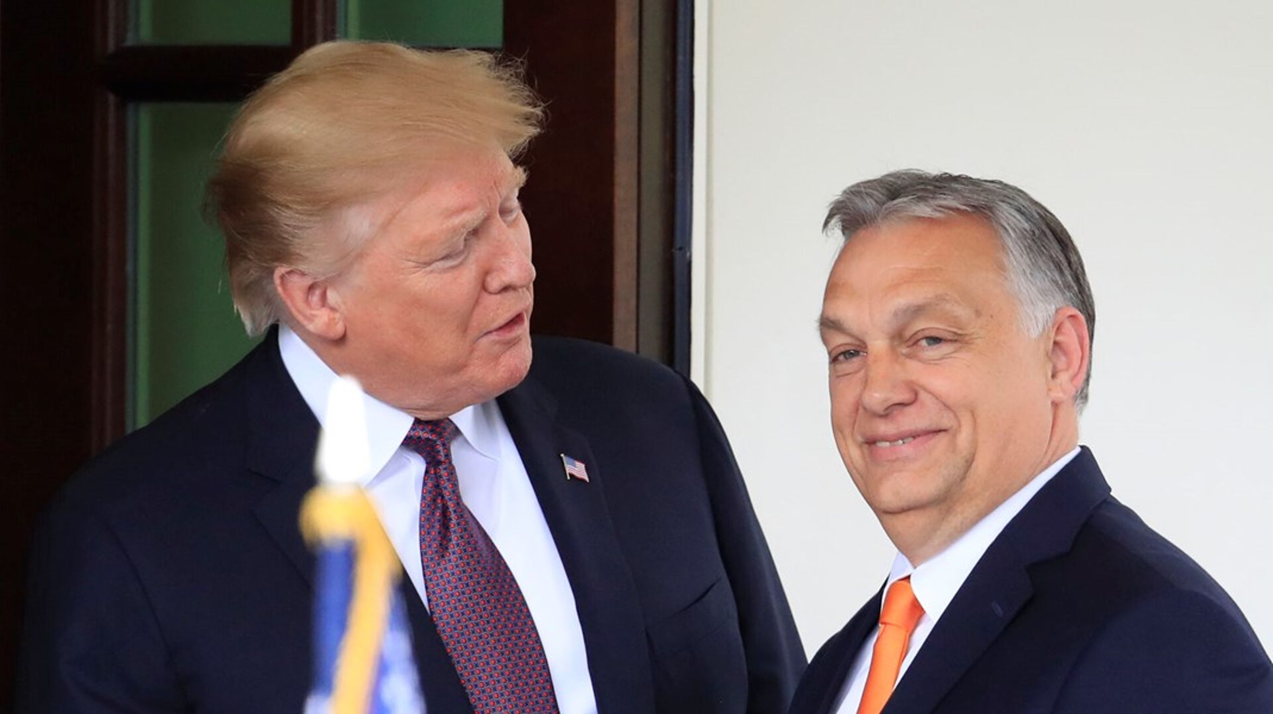 Makkerparret Donald Trump og Viktor Orbán drømmer om&nbsp;at se højreskred på begge sider af Atlanten i løbet af 2024.