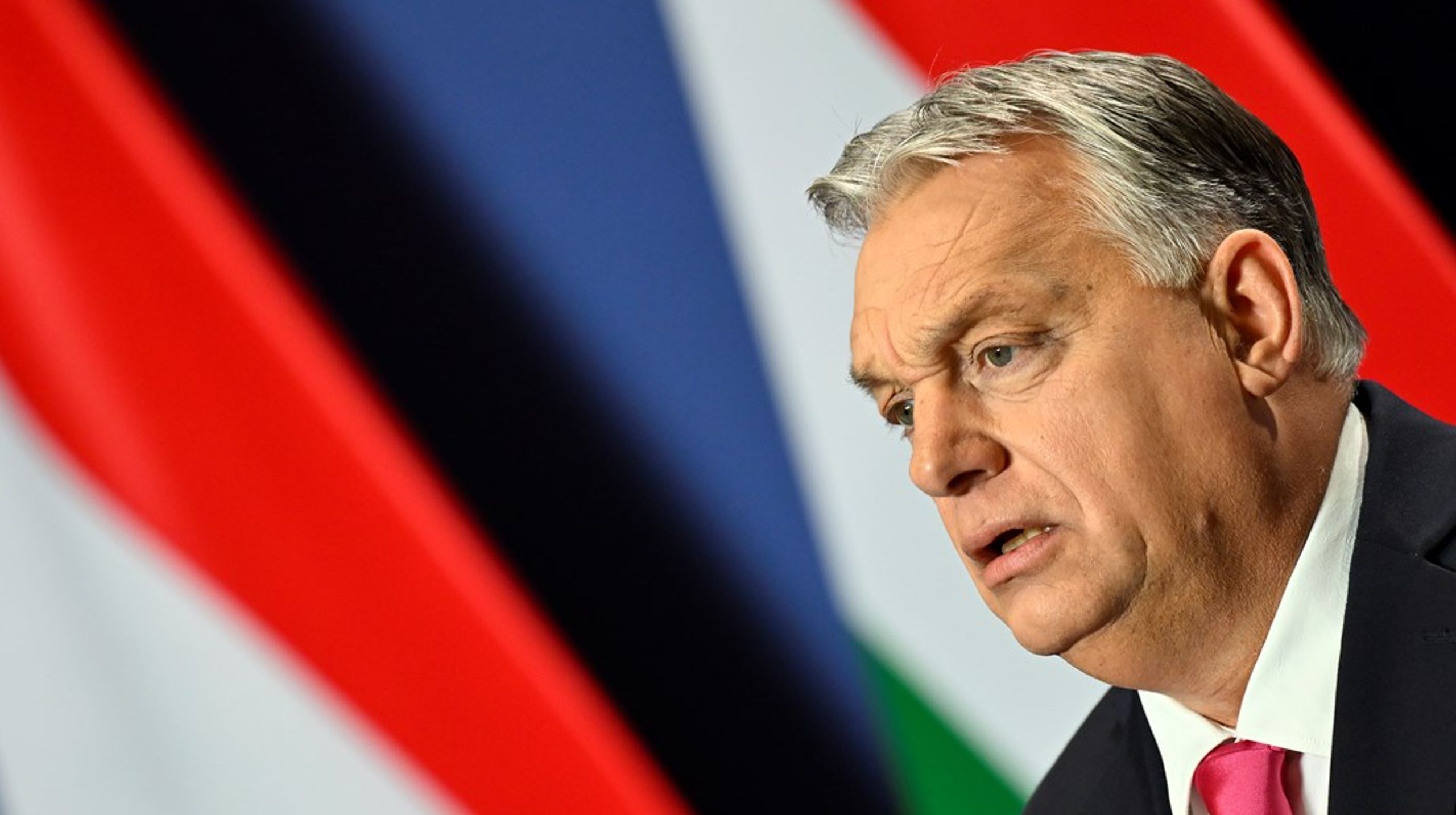 Den ungarske premierminister Viktor Orbán kommer under massivt pres ved et topmøde i Bruxelles torsdag. Men vil han give sig?