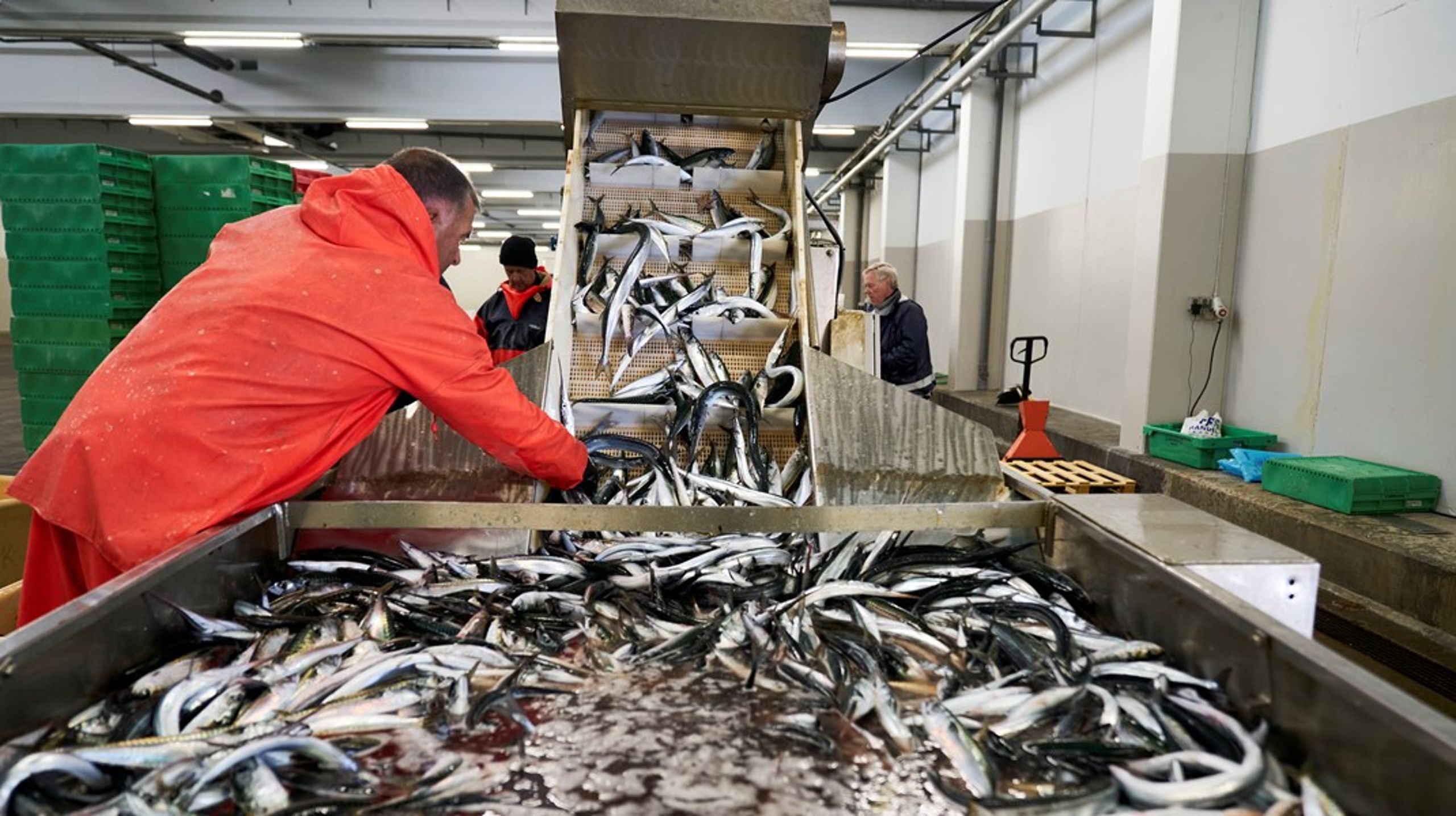 Selvom der i dag ikke er en lige så stor andel af arbejdsstyrken, der er tilknyttet fiskeriet og landbruget, som der historisk har været, så spiller de en vigtig rolle for mange danskere, skriver Venstres fiskeriordfører, Mads Fuglede.