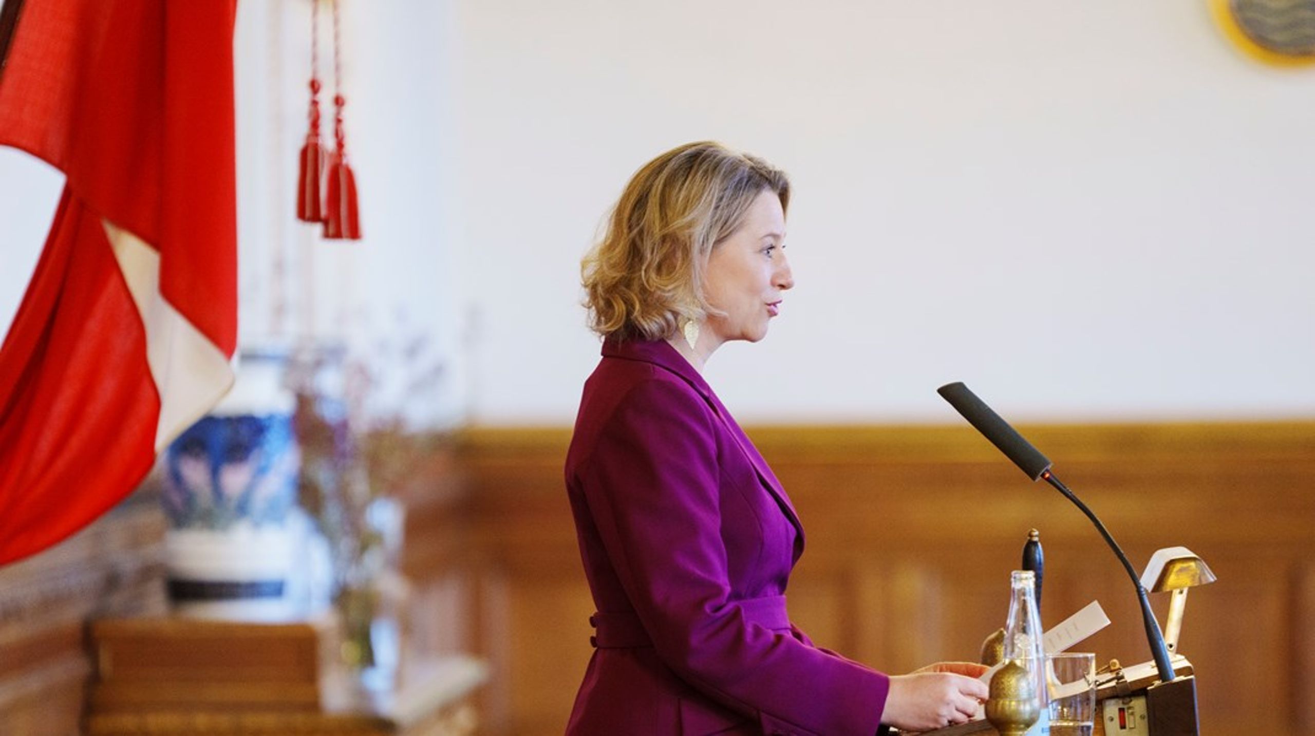 Sophie Hæstorp har tidligere været både folketingsmedlem og regionsrådsformand.&nbsp;