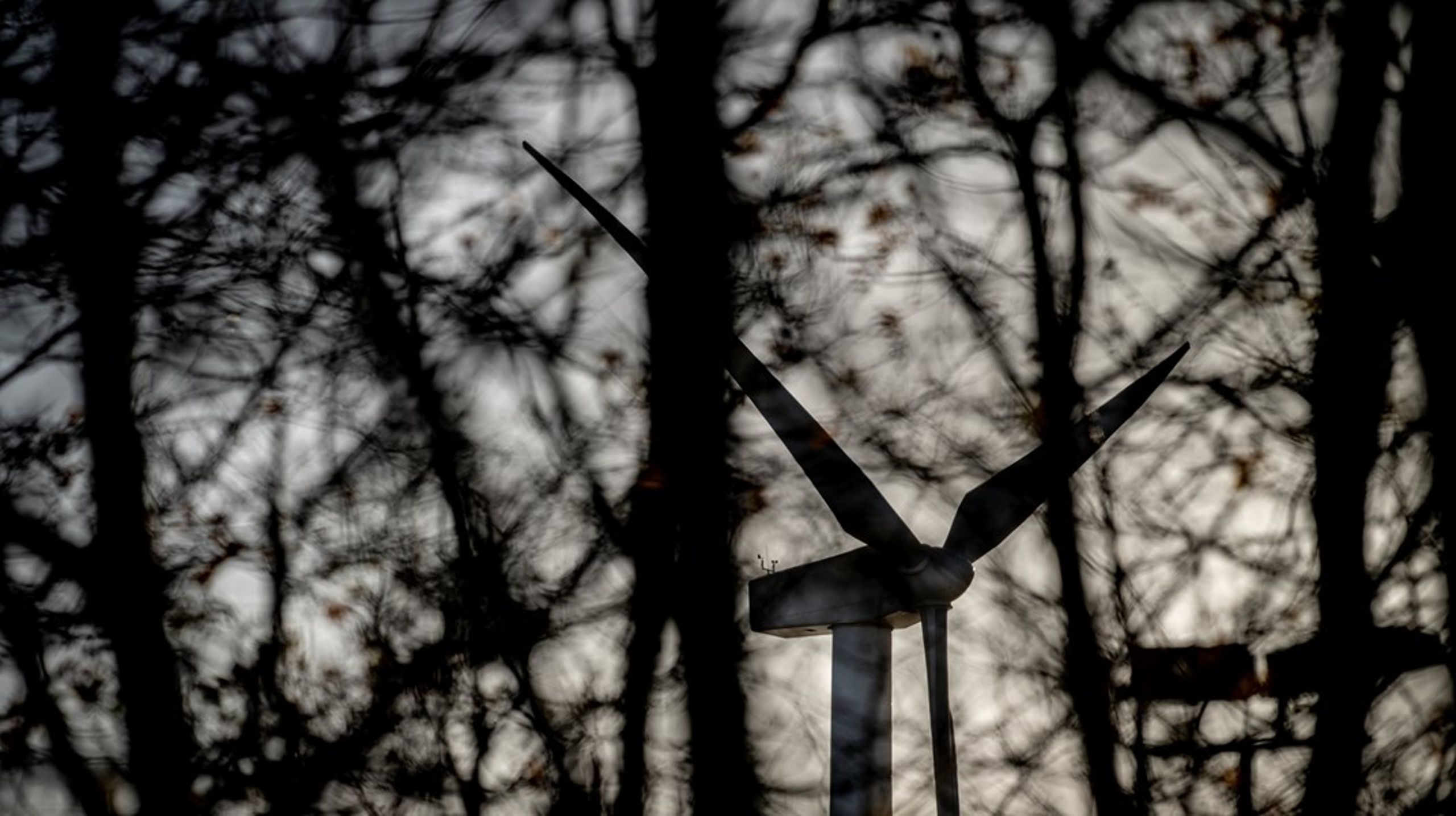 Må der&nbsp;stikke tre hvide
vindmøllevinger op over trægrænsen i fremtidens danske skov? Det mener regeringens nationale energikrisestab, som mandag kom med nye anbefalinger til hurtigere udrulning af vedvarende energi i Danmark.