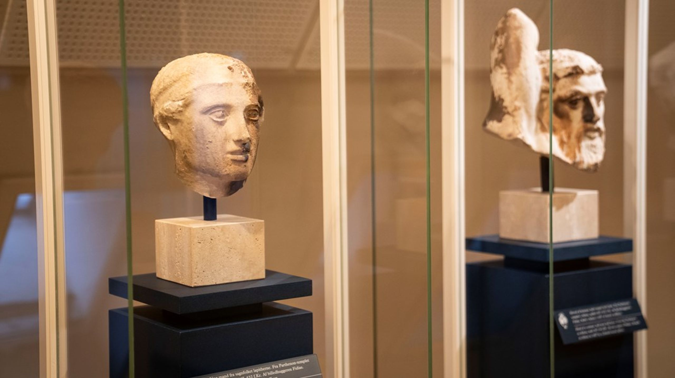 De omkring 2500 år gamle græske marmorhoveder fra Parthenon-templet i Athen, udstillet i Nationalmuseets antiksamling.