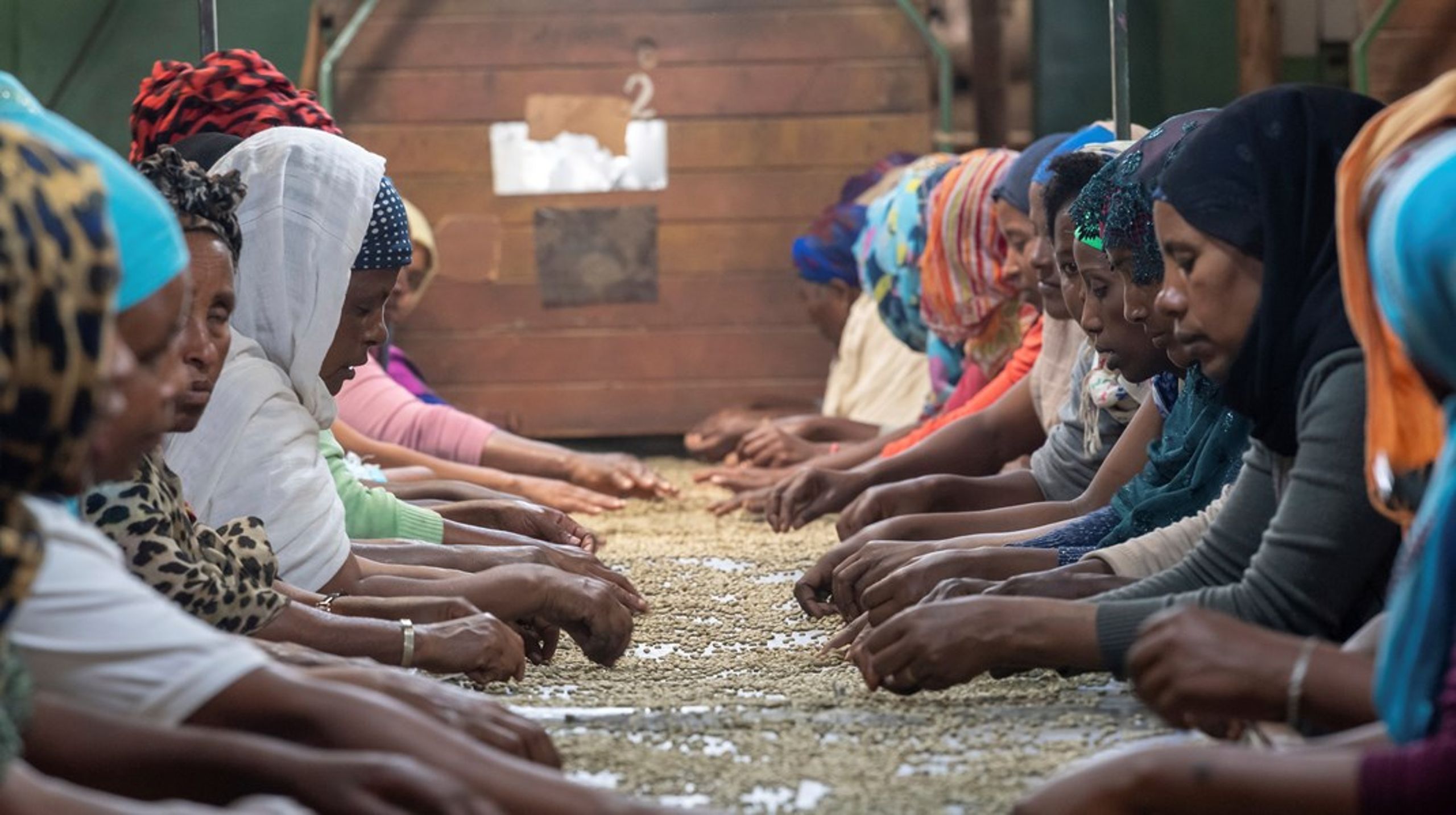De mindre kaffeproducenter i Etiopien mærker allerede nu nye krav fra opkøberne til EU's marked,&nbsp;men kravene bliver ikke fulgt af den nødvendige kompetenceudvikling,&nbsp;skriver Nanna Callisen Bang og Jarl Krausing.
