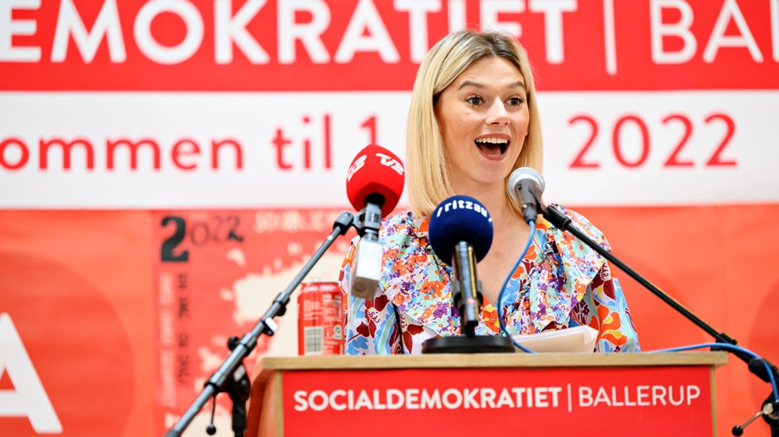Sofie de Bretteville Olsen er medlem af regionsrådet i Region Hovedstaden, hvor hun blev valgt ind for Socialdemokratiet i 2021. Hun har været medlem af Danmarks Socialdemokratiske Ungdom (DSU) flere år.