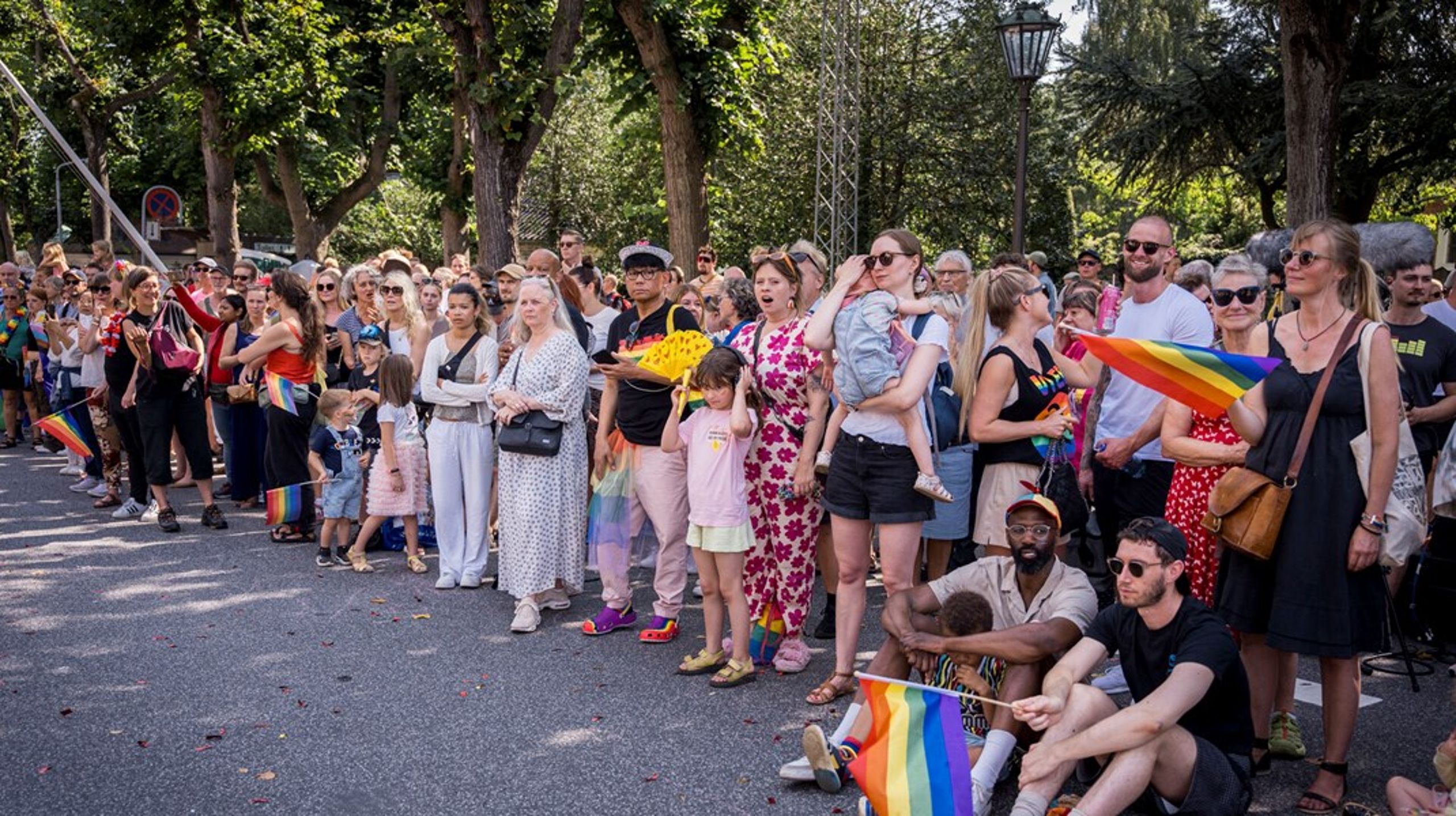 Den afgående kommunikationschef stopper kort efter at Copenhagen Pride blev fanget i en shitstorm i forbindelse med, at organisationen havde kommunikeret, at deres samarbejdspartnere skulle give "tilfredsstillende svar" om interesser og aktiviteter i Israel og Palæstina.