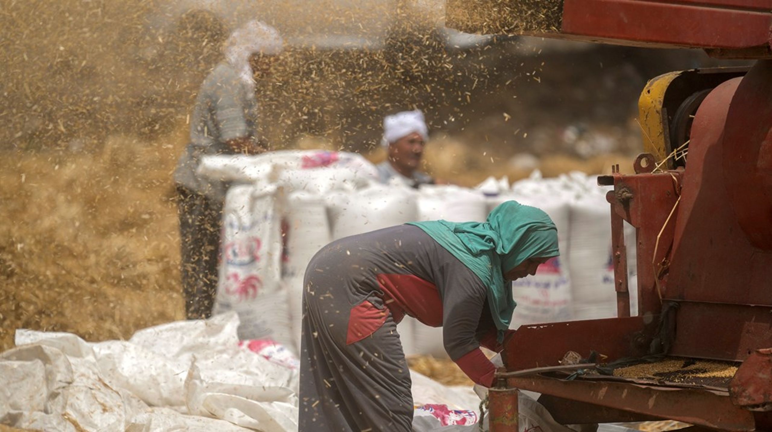 Landbruget i Afrika er fortsat præget af mange småbønder, hvor op mod 70 procent af arbejdsstyrken er udgjort af kvinder, som oftest er dårligere betalt end mændene, og som sjældent ejer den jord, de dyrker, skriver Peder Tuborgh og Merete Juhl.