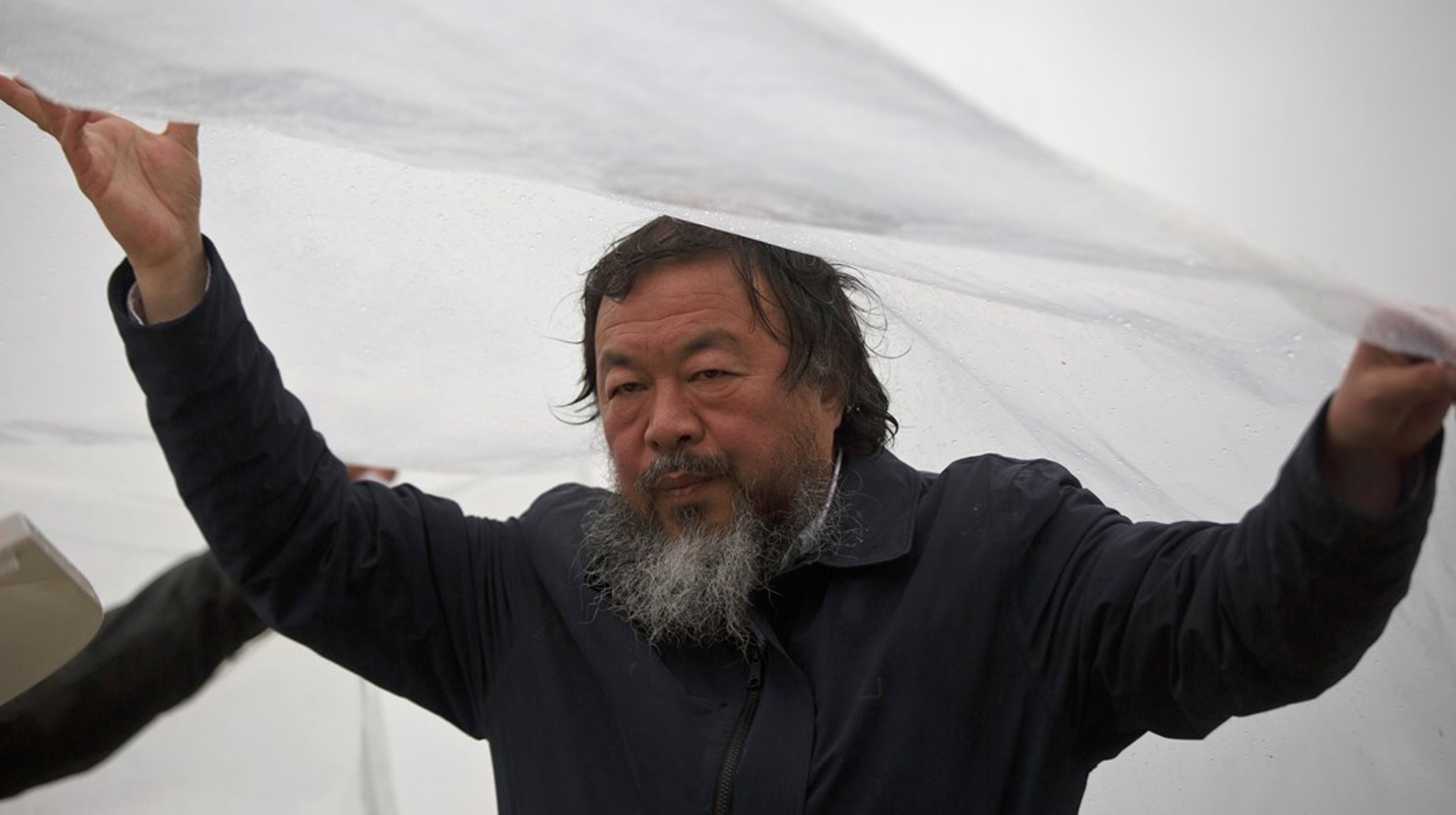 Vi fornærmer os selv, når vi udøver selvcensur, siger kunstneren&nbsp;Ai Weiwei. Så spørgsmålet er, hvorfor civilsamfundet i Danmark alligevel synes at gøre det, skriver Eva Svavars.&nbsp;<br>
