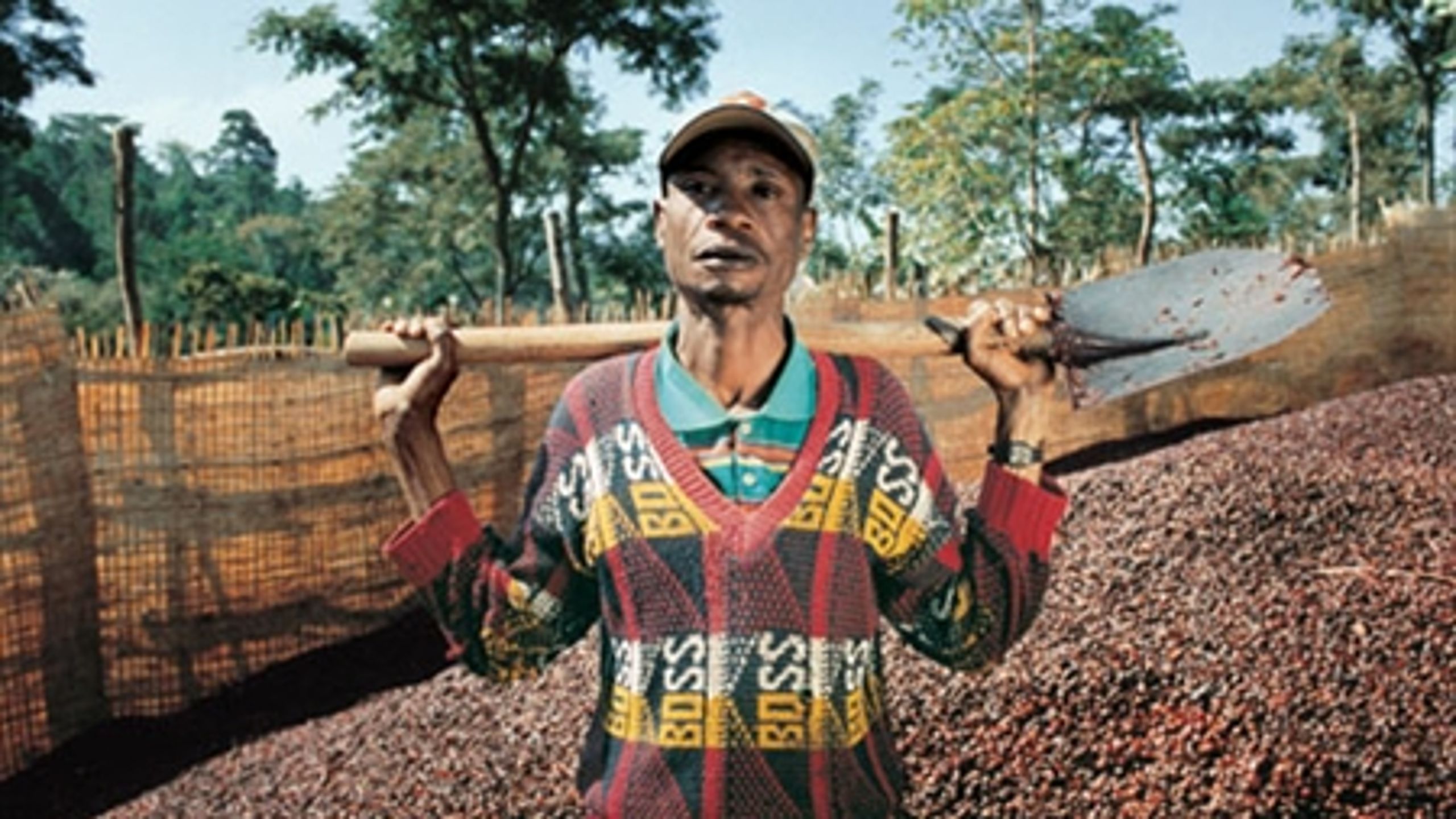 Fair trade-handlen er i fremgang. Den skal gavne de fattigste b&#248;nder i verden - sp&#248;rgsm&#229;let er, om den g&#248;r det. 