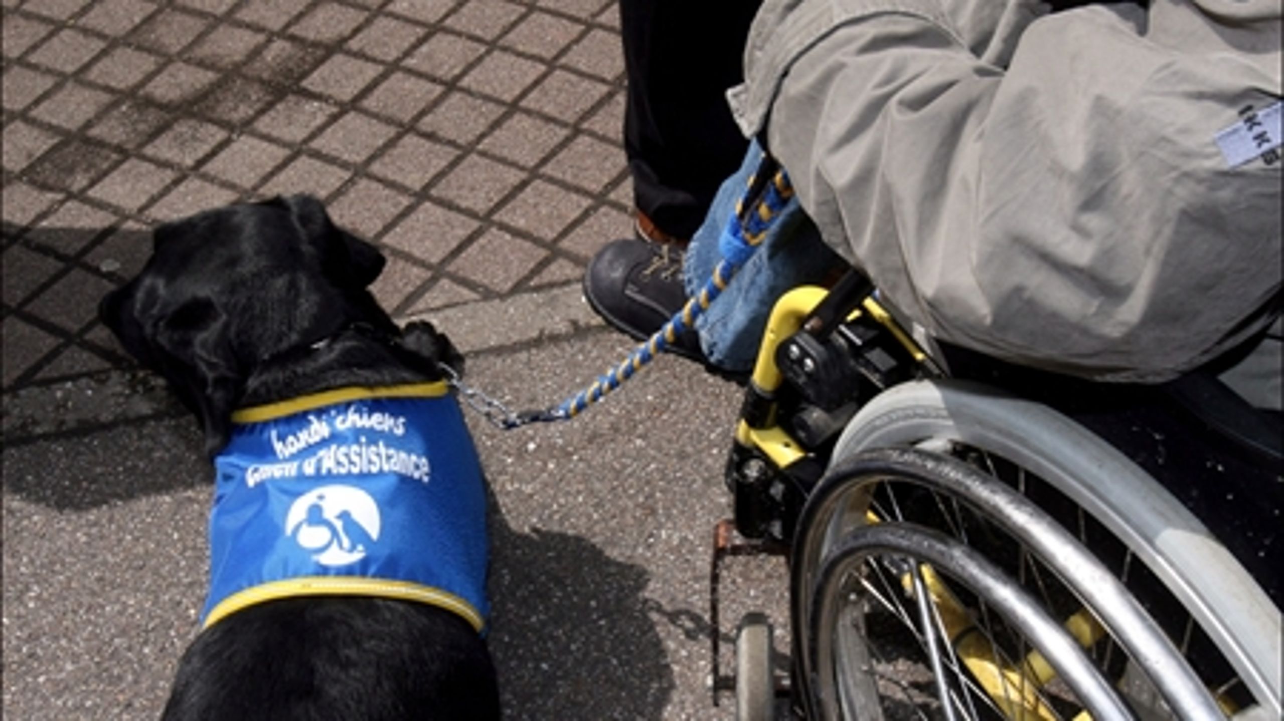 Tilbudsportalen indeholder blandt andet oplysninger om opholdssteder til handicappede.