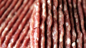 Alternativt flertal kræver flere penge til kødkontrol