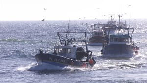 Fiskeriet mangler på finansloven