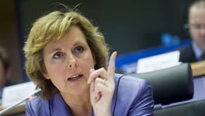 Hedegaard modtager ros efter høring