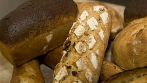 Eksperter: Fortsat dansk brød 