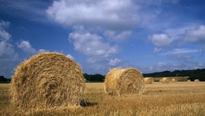 Eksperter: Landbrugspakke øger CO2-udledning
