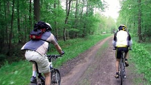 Barfoed vil sætte stopper for cykelhæleri
