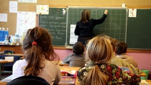 Professionshøjskolerne: Søndergaard-kritik er upassende