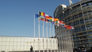Europa-Parlamentet blokerer for kødklister