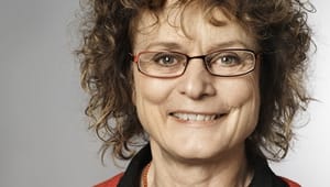 Bente Dahl: Hvis jeg var minister