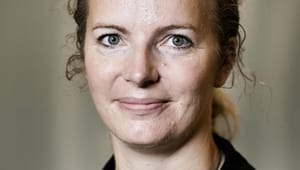 Skaarup: Det bør være slut med "Yes minister"