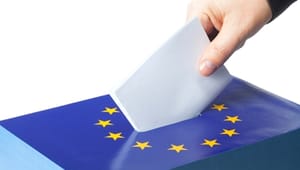 Danske MEP'er uenige om valgreform 